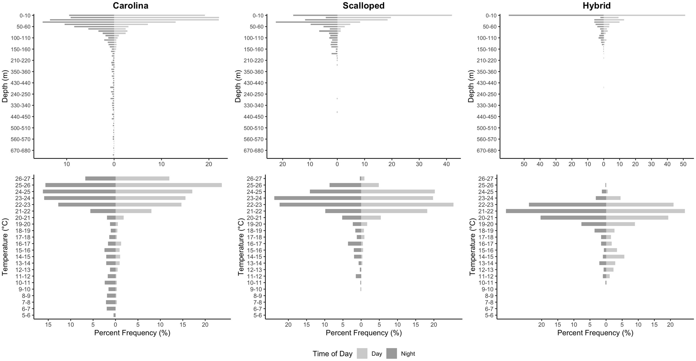 Comparison of depth and temperature preferences for Carolina, Scalloped, and Hybrid groups, showing percent frequency during day and night. Carolina and Scalloped groups display similar depth distributions, while the Hybrid group shows distinct narrower distribution. Temperature preferences show prominent peaks around 20-23 degrees Celsius for all groups, with variations in frequency between day and night.