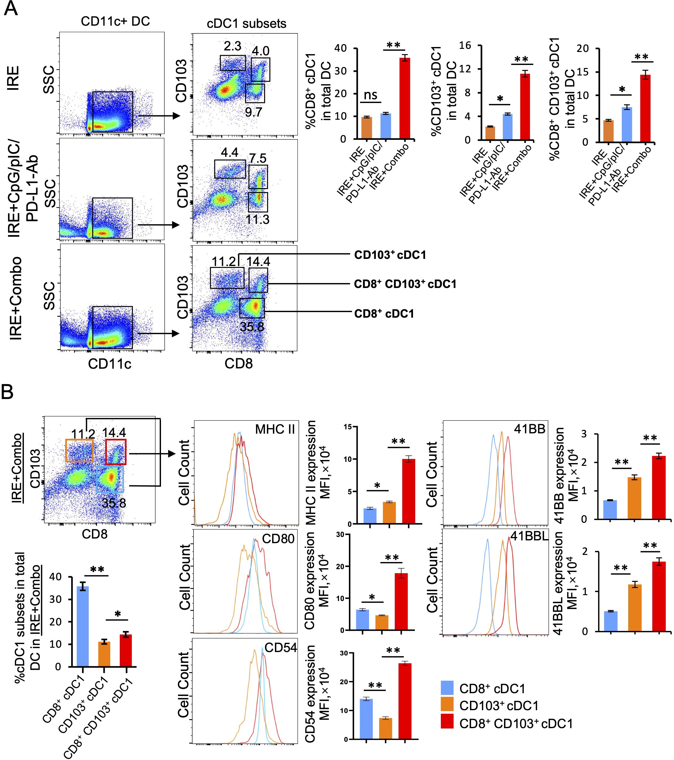 Flow cytometry analysis of dendritic cells (DC) showing different treatments. Panel A displays SSC vs. CD11c plots with subsets CD103 and CD8. Bar graphs show percentages of subsets for different conditions: IRE, IRE+CpG/pIC/PD-L1-Ab, and IRE+Combo, with significance indicated. Panel B shows CD103 vs. CD8 with histograms for MHC II, CD80, CD54, and 41BB expression, and corresponding bar graphs. Legends indicate CD8⁺ cDC1, CD103⁺ cDC1, and CD8⁺CD103⁺ cDC1 in blue, orange, and red, respectively.