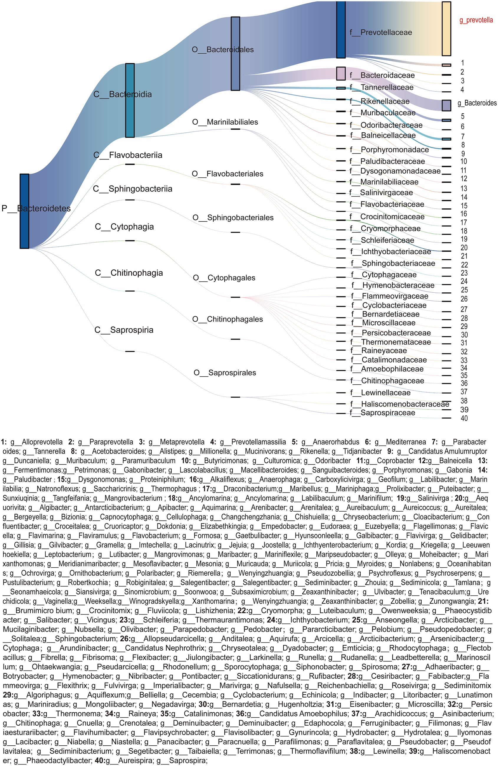 Sankey diagram illustrating the taxonomic classification of the phylum Bacteroidetes. It flows from broad categories like phylum and class to specific families and genera. Key classifications are marked, showing connections and relationships within the Bacteroidetes. Labels detail various taxonomic levels, with specific genera highlighted, such as Prevotellaceae and Tannerellaceae. The diagram visually represents the complexity and hierarchy of microbial taxonomy.