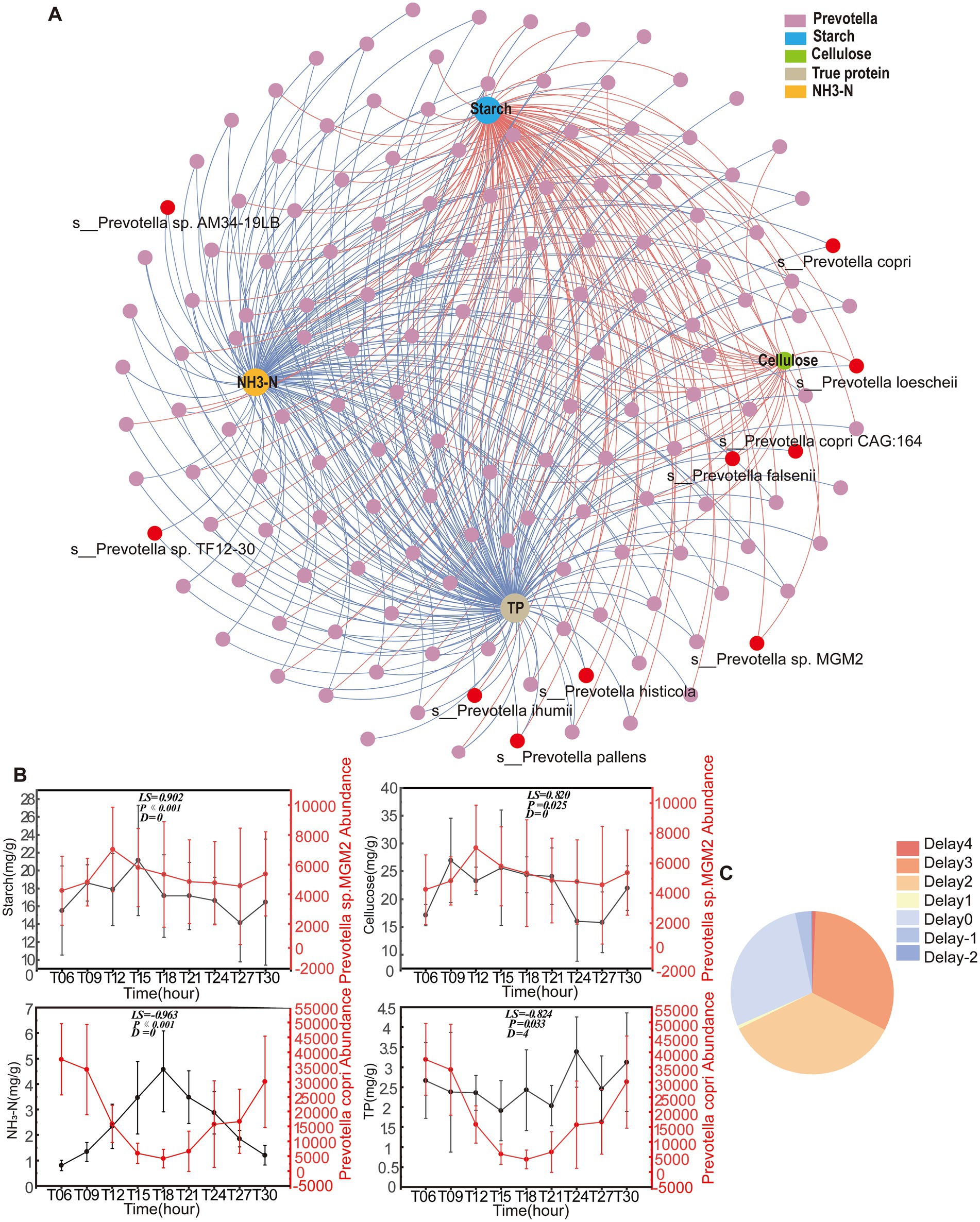 Diagram A displays a network of interactions between Prevotella species, starch, cellulose, true protein, and NH3-N, with nodes and connecting lines in various colors. Diagram B includes four line graphs showing trends in starch, cellulose, NH3-N, and true protein levels over time, with annotated statistics. Diagram C features a pie chart indicating proportions of different delay categories, colored in shades of orange, blue, and purple.
