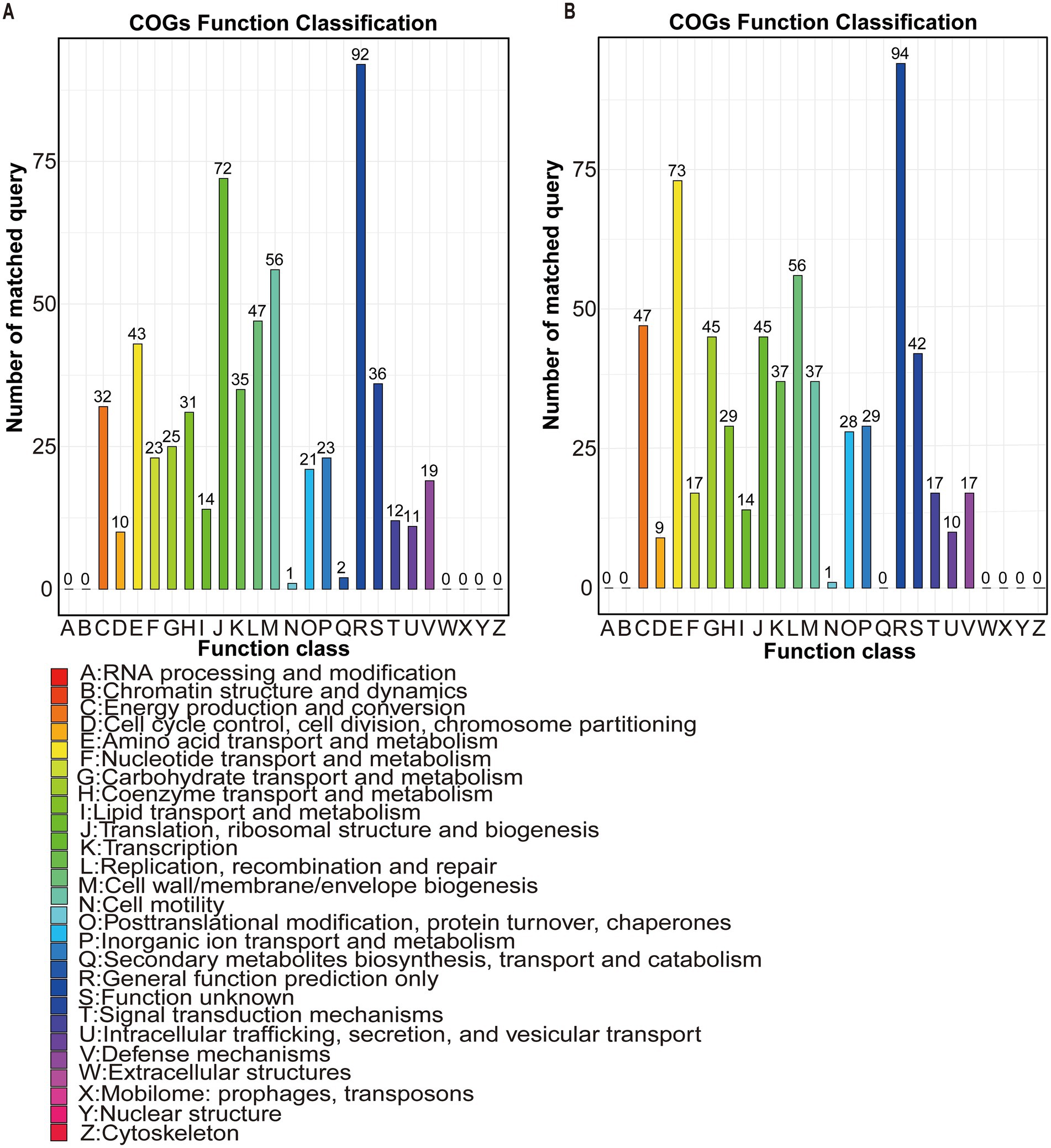 Bar charts labeled A and B showing COGs function classifications. Each chart has bars for function classes A to Z, representing the number of matched queries. Chart A shows a maximum of 92 queries for class S, and Chart B shows a maximum of 94 queries for the same class. A color-coded key explains each function class.