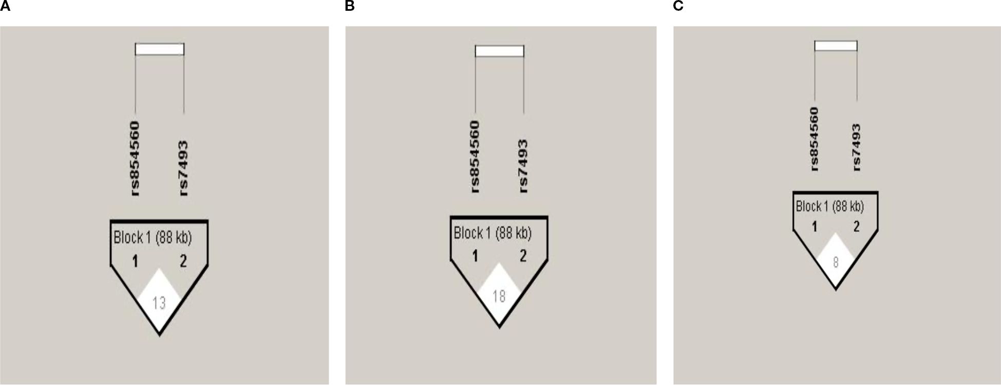 Diagram showing linkage blocks labeled A, B, and C. Each block depicts a genomic region between markers rs854560 and rs7493, labeled as Block 1 with a size of eighty-eight kilobases. The blocks display numerical values: 13 in A, 18 in B, and 8 in C.