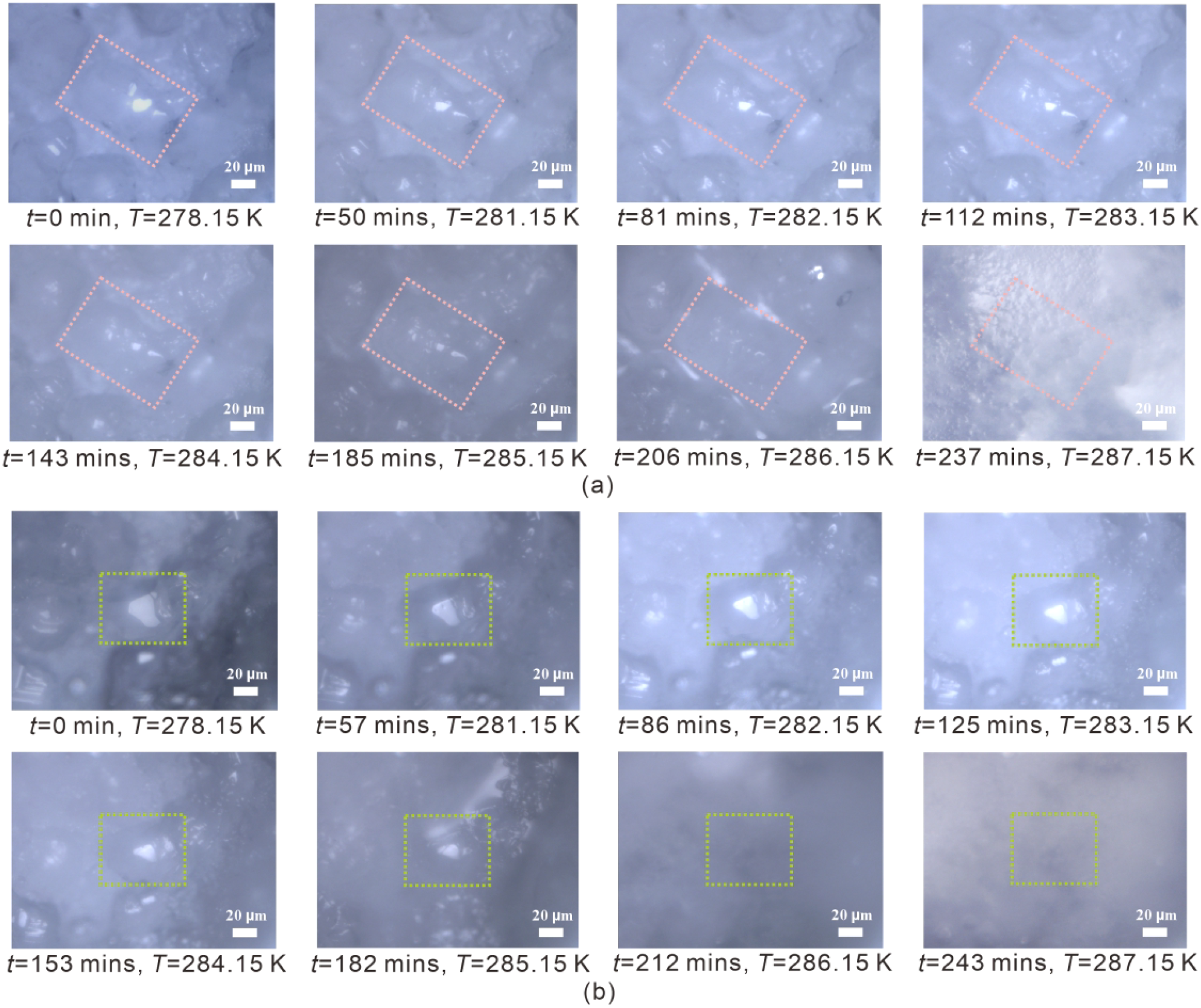 Two sets of microscopic images depict changes in a sample over time at varying temperatures. Each set has six time-lapse frames, showing changes from 0 minutes at 278.15 Kelvin to over 200 minutes at approximately 287.15 Kelvin. Set (a) features orange dashed rectangles, while set (b) uses green dashed rectangles, with a scale bar of 20 micrometers in each image.
