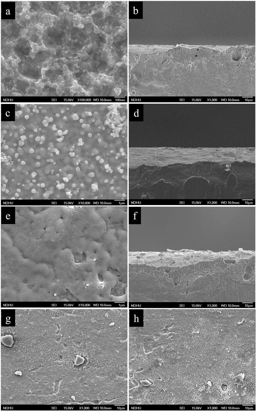 A series of eight scanning electron microscope images showing different morphologies and cross-sections of materials with varied magnifications. Image (a) displays a porous texture at 100,000x. Image (b) shows a cross-section at 1,000x, revealing internal structure. Image (c) highlights spherical particles at 10,000x. Image (d) demonstrates another cross-sectional view at 1,000x, with layered structures. Image (e) features a smooth surface with imperfections at 10,000x. Image (f) presents a cross-section similar to (d). Image (g) focuses on surface details with some raised features at 1,000x. Image (h) shows a smoother surface with minor indentations at 1,000x.