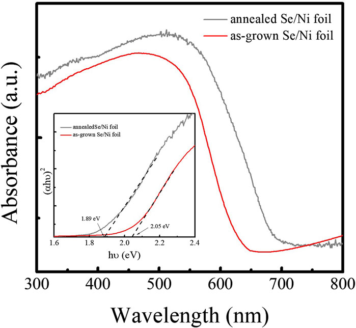 Graph depicting absorbance versus wavelength for annealed and as-grown Se/Ni foil. The annealed foil shows higher absorbance at lower wavelengths, peaking around 450 nm, then decreases towards 800 nm. The inset graph plots (αhu)^2 against energy (eV), with annealed and as-grown foils intersecting at approximately 1.89 eV and 2.05 eV, respectively.
