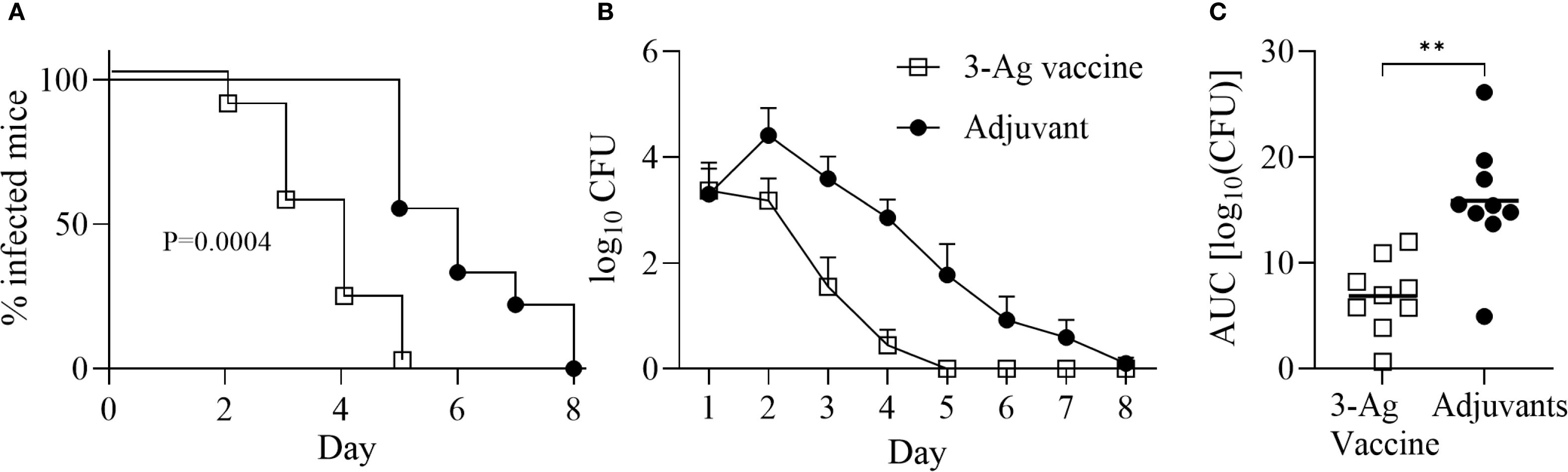 Three graphs labeled A, B, and C showing vaccine efficacy. A: Number of infected mice, showing significant difference (P=0.0004) between 3-Ag vaccine and adjuvant. B: CFU levels over 8 days, with the vaccine reducing CFU faster than the adjuvant. C: Box plot comparing AUC; the vaccine has significantly lower values than the adjuvant, indicated by double asterisks for statistical significance.