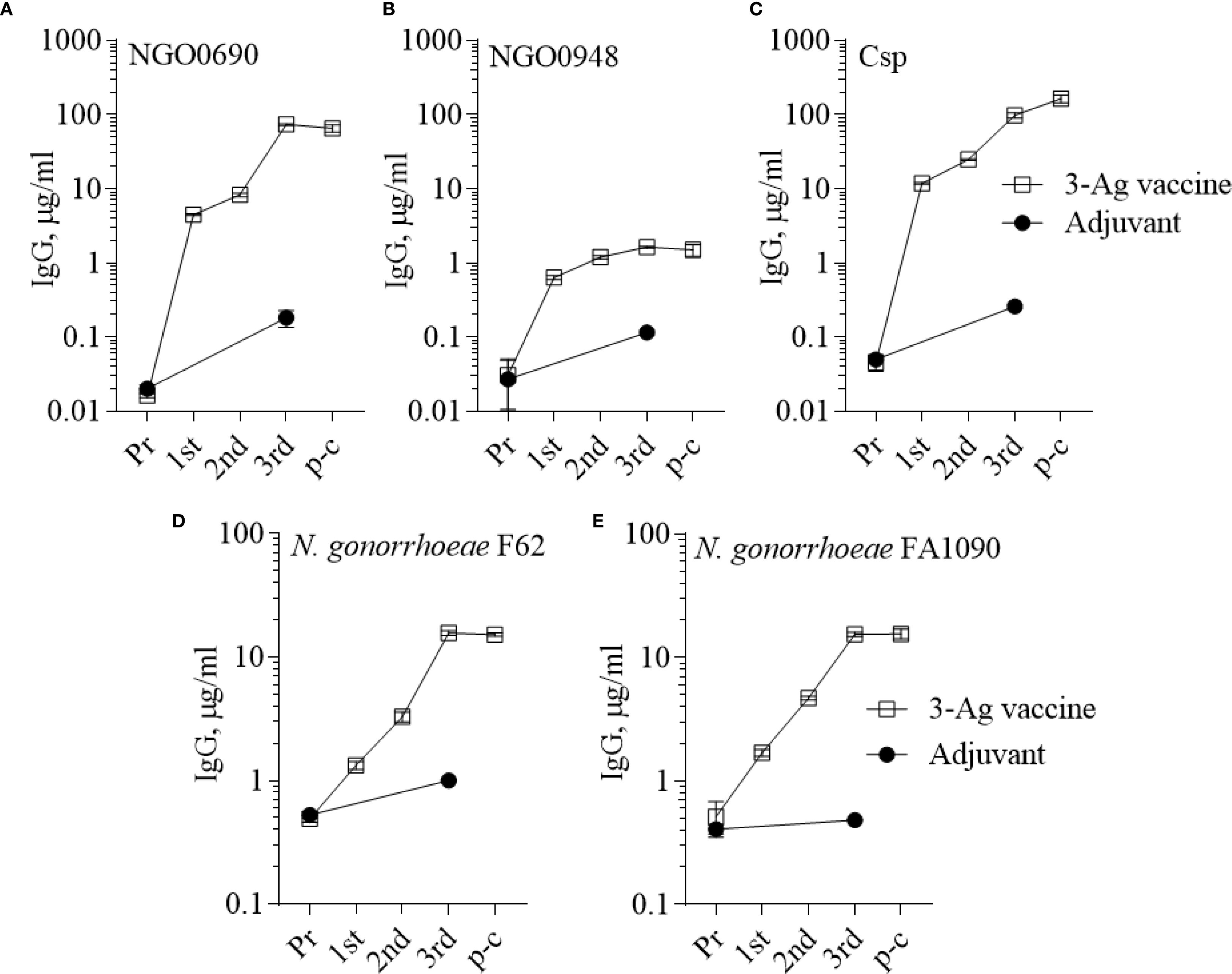 Line graphs show IgG levels in micrograms per milliliter across different stages for five subjects: NGO0690, NGO0948, Csp, N. gonorrhoeae F62, and N. gonorrhoeae FA1090. Two conditions are compared: 3-Ag vaccine and Adjuvant. Each graph depicts increasing IgG levels from pre-treatment to post-third immunization, with higher levels in the 3-Ag vaccine group compared to the Adjuvant group across all subjects.