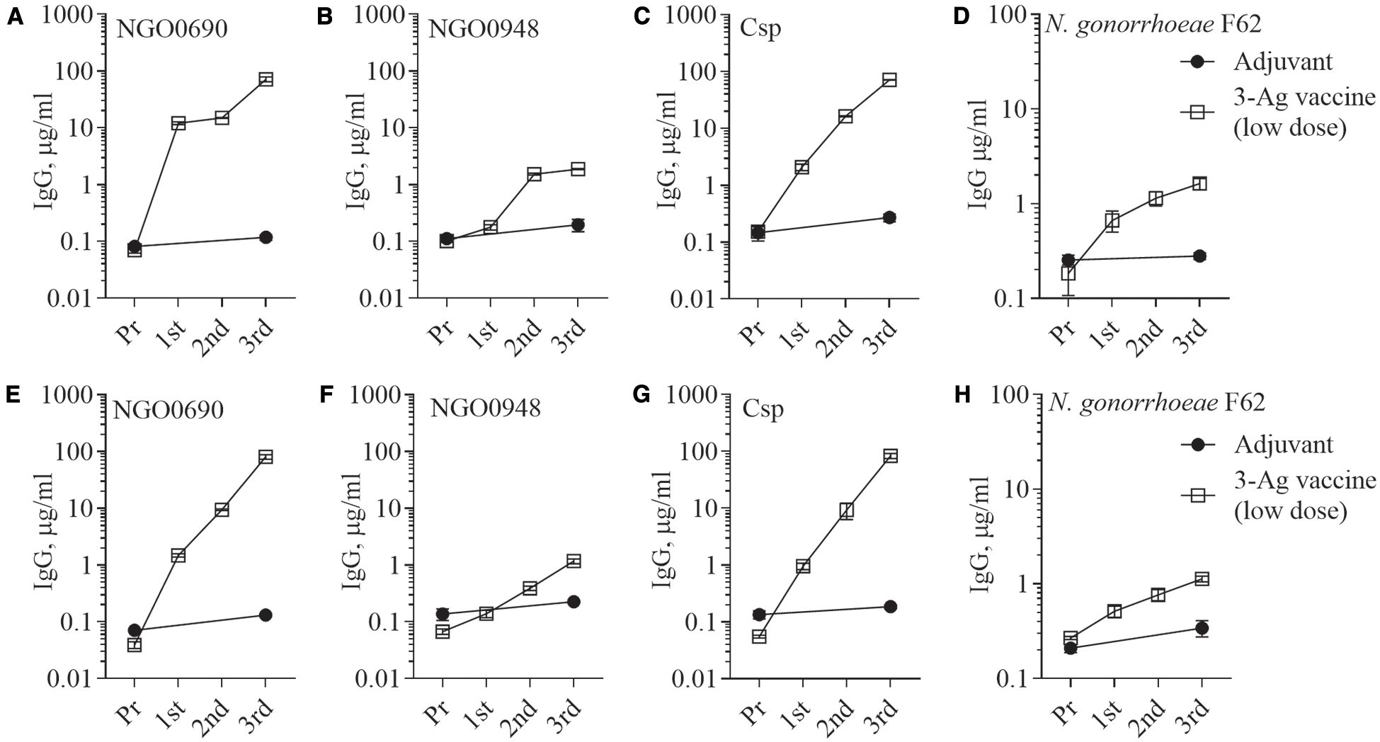 Graphs A to H show IgG levels over time for three different strains (NGO0690, NGO0948, NGO1701) and against *Neisseria gonorrhoeae* F62. Two treatments are compared: Adjuvant (circles) and low-dose 3-Ag vaccine (squares). IgG levels (in micrograms per milliliter) generally increase after each dose of the 3-Ag vaccine across all graphs, indicating a stronger immune response compared to the adjuvant alone.