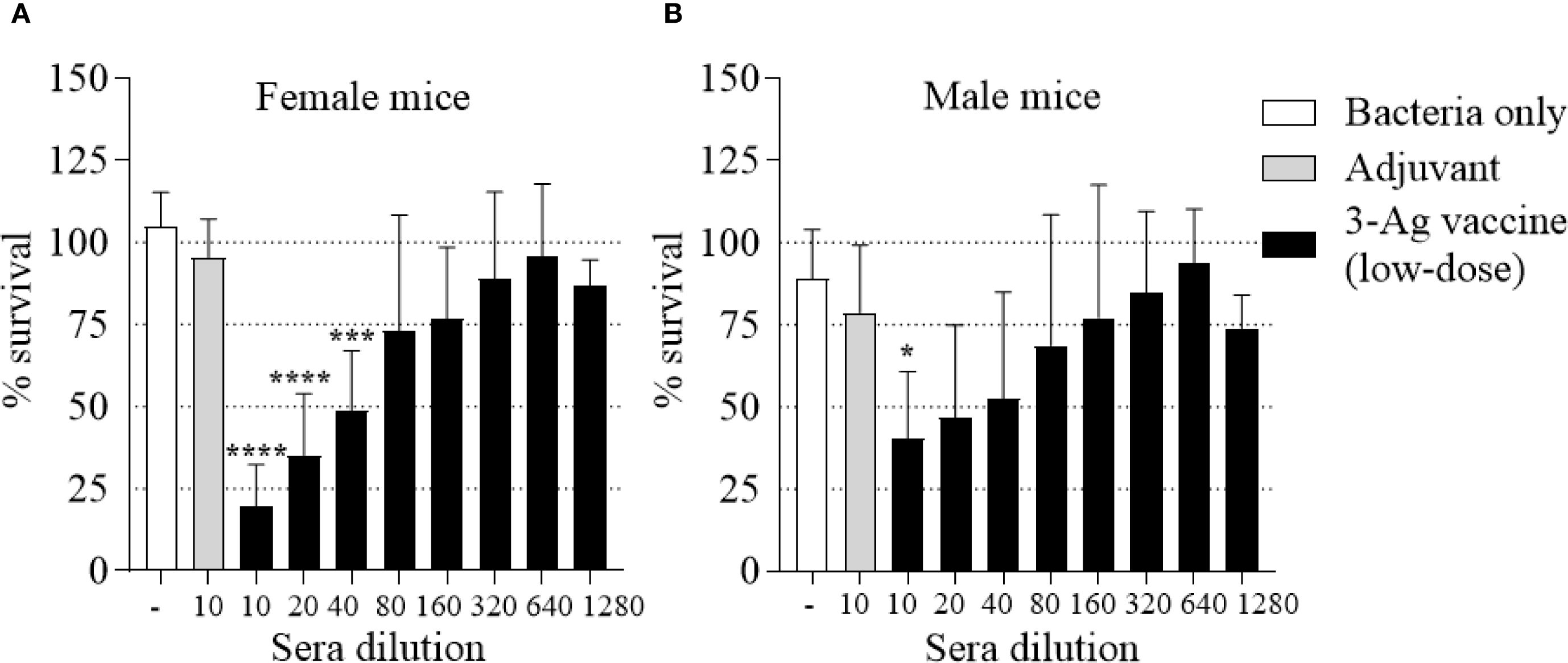 Bar graphs showing the survival percentage of female and male mice against serum dilution levels. Panel A shows data for female mice; Panel B for male mice. White bars indicate bacteria only, gray bars adjuvant, and black bars a low-dose 3-Ag vaccine. The vaccine increases survival in both genders, with significant improvement noted at certain dilutions for females. Error bars represent standard deviations.
