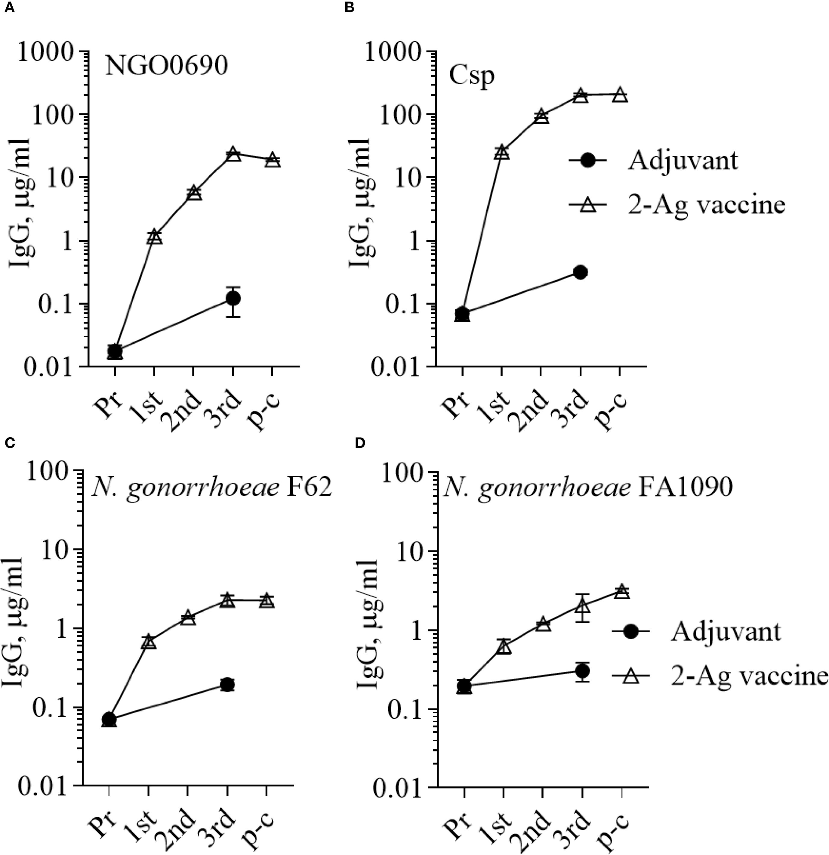Four line graphs labeled A to D show IgG levels (micrograms per milliliter) over time for different immunizations against antigens NGO0690, Csp, and two strains of N. gonorrhoeae (F62, FA1090). The x-axis labels are Pr, 1st, 2nd, 3rd, p-c, indicating stages. Graphs compare responses between an adjuvant (solid circles) and a 2-Ag vaccine (open triangles). In all graphs, the 2-Ag vaccine shows higher IgG levels compared to the adjuvant alone, with increases over time across all panels.