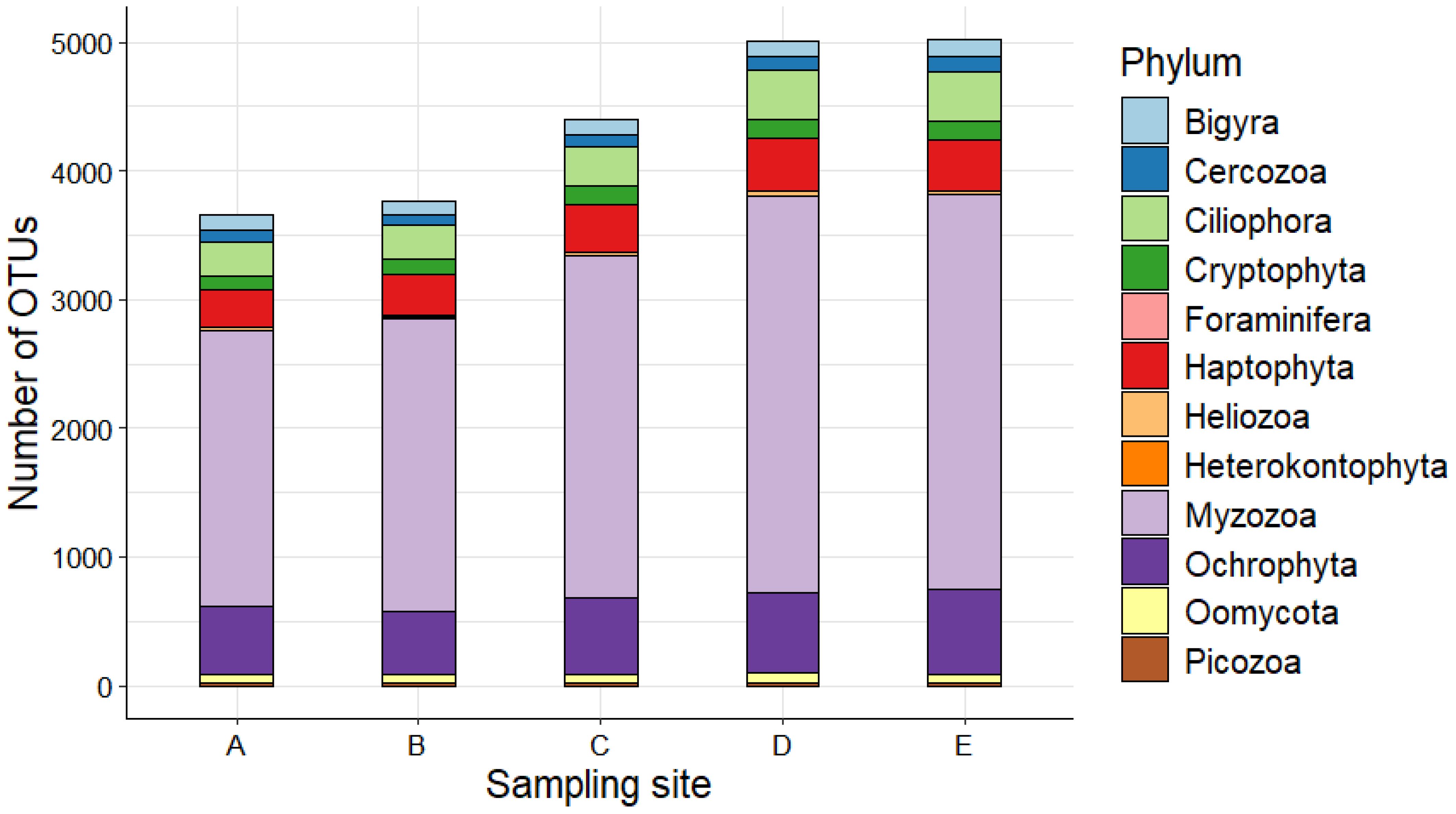 Stacked bar chart showing the number of operational taxonomic units (OTUs) across five sampling sites, labeled A to E. Each bar is divided into colored segments representing different phyla, as indicated by the legend: Bigyra, Cercozoa, Ciliophora, Cryptophyta, Foraminifera, Haptophyta, Heliozoa, Heterokontophyta, Myzozoa, Ochrophyta, Oomycota, and Picozoa. Site C has the highest total OTUs.