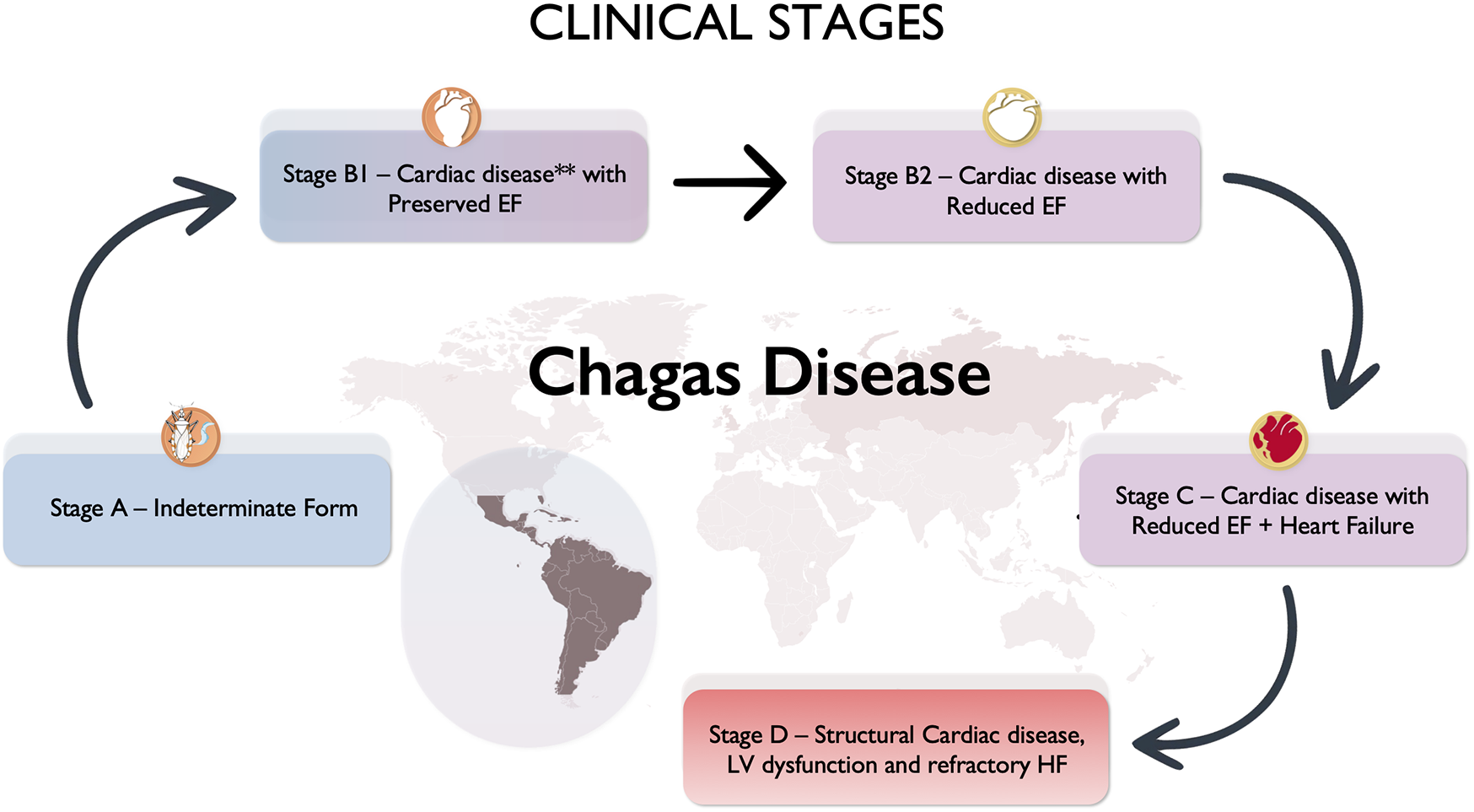 Flowchart illustrating the clinical stages of Chagas Disease, starting with Stage A (Indeterminate Form), progressing through Stage B1 (Cardiac disease with Preserved EF), Stage B2 (Cardiac disease with Reduced EF), Stage C (Cardiac disease with Reduced EF and Heart Failure), and Stage D (Structural Cardiac disease, LV dysfunction, and refractory HF). A world map highlights South and Central America in color.