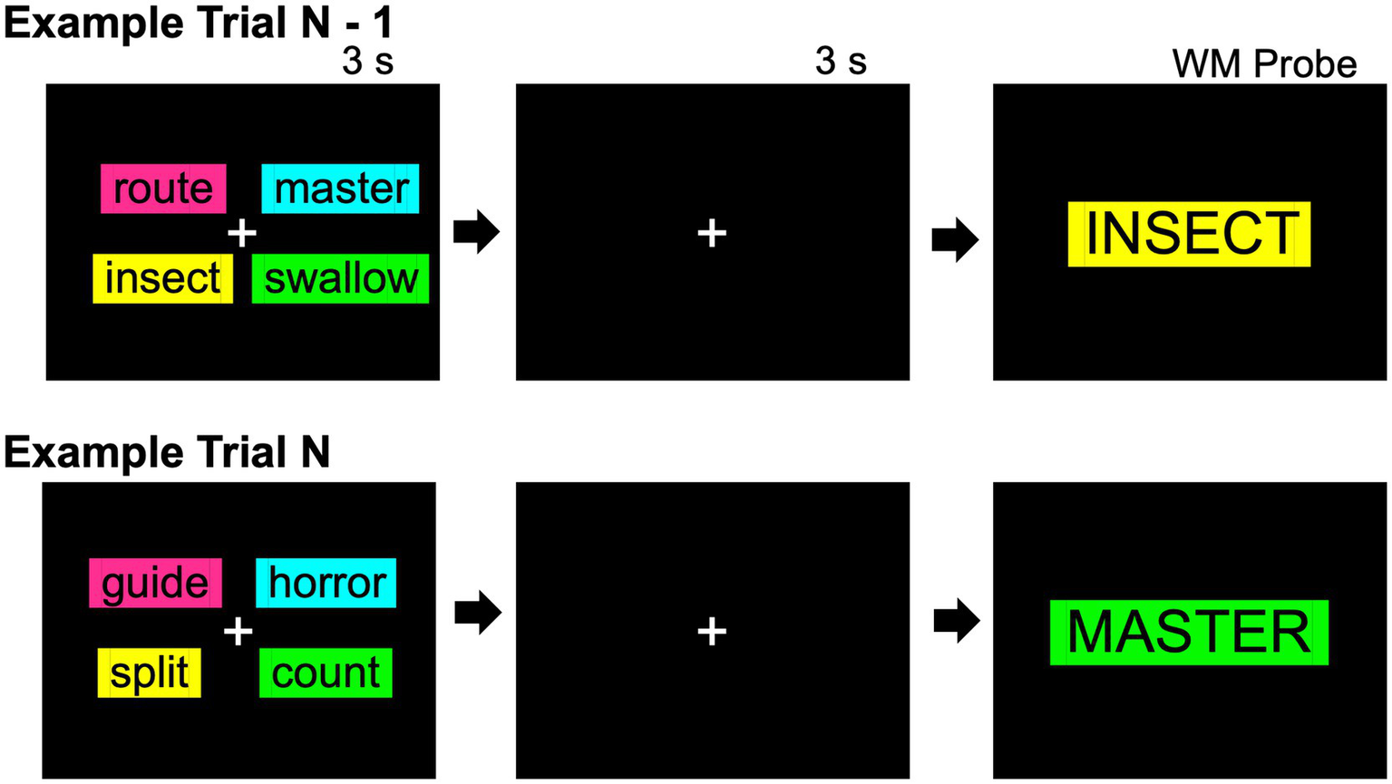 Diagram showing two trials in a working memory task. In Example Trial N-1, words "route," "master," "insect," and "swallow" are displayed for 3 seconds, followed by a fixation cross for 3 seconds, then the word "INSECT" appears as a probe. In Example Trial N, words "guide," "horror," "split," and "count" are displayed, followed by a fixation cross, then the word "MASTER" appears as a probe.