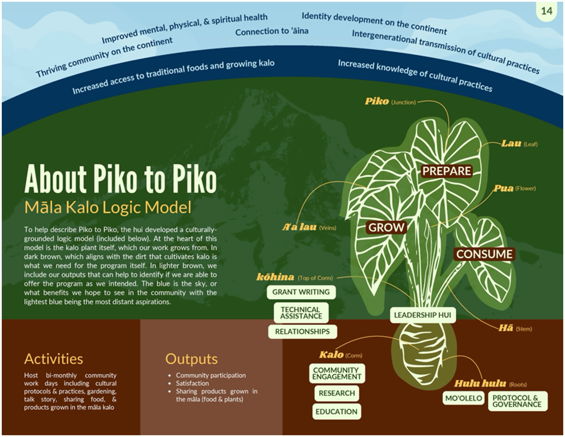 The central kalo plant diagram is labeled with parts representing aspects of preparation, growth, and consumption. Below, activities involve community work and practices. Outputs include community participation, satisfaction, and sharing products from māla kalo. Elements like grant writing, leadership, and community engagement are indicated. Above, aims for the program include identity development, intergenerational cultural transmission, and increased access to traditional foods. The model is color-coded to signify different themes.