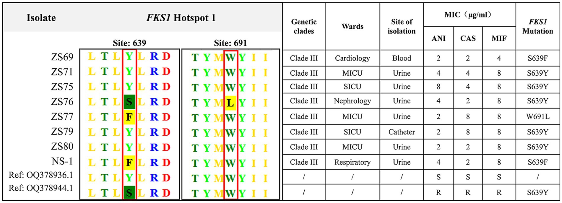 Table displaying data on isolates with annotations for the FKS1 Hotspot 1 mutations at sites 639 and 691. Includes isolate identifiers, genetic clades, ward locations, sites of isolation, MIC values for ANI, CAS, and MIF, and specific FKS1mutations. Some mutants show changes such as S639F, S639Y, and W691L, with relevant wards.