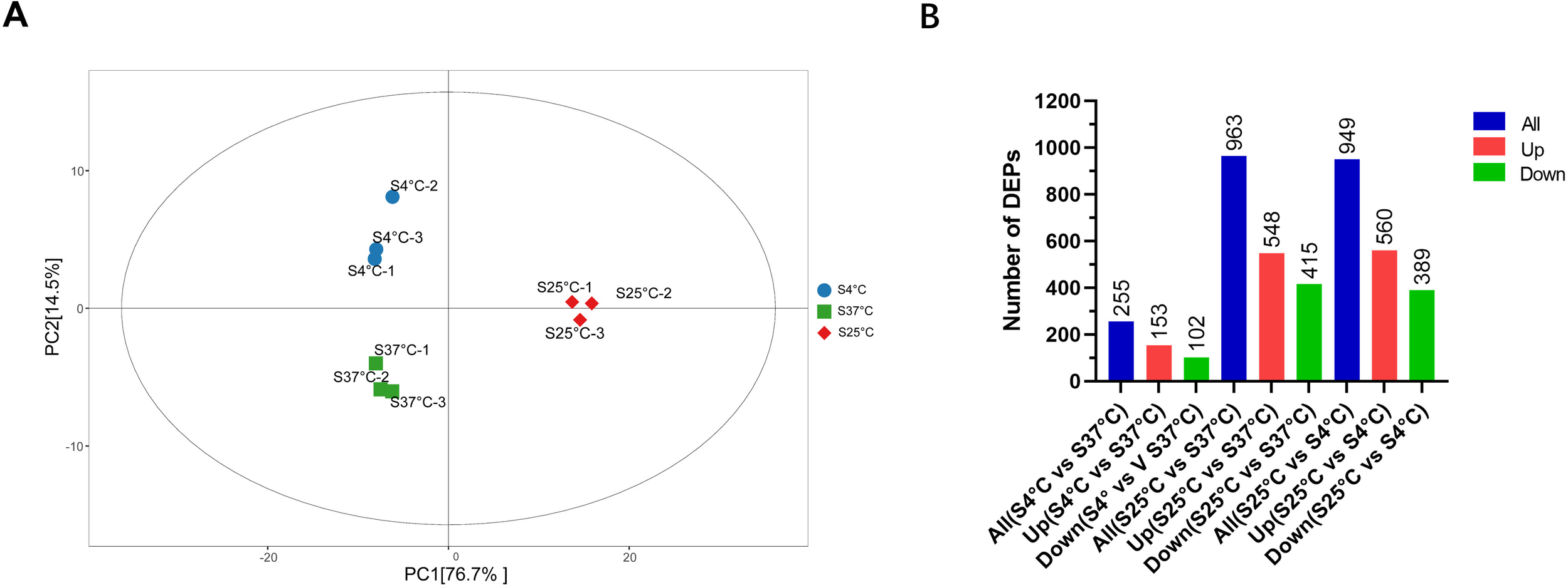 Panel A displays a PCA plot showing the clustering of samples at different temperatures: blue circles for 4 degrees Celsius, green squares for 37 degrees Celsius, and red diamonds for 25 degrees Celsius. Panel B is a bar chart illustrating the number of differentially expressed proteins (DEPs) under various temperature comparisons. Blue bars indicate all DEPs, red for upregulated, and green for downregulated, with specific numerical values annotated above each bar.