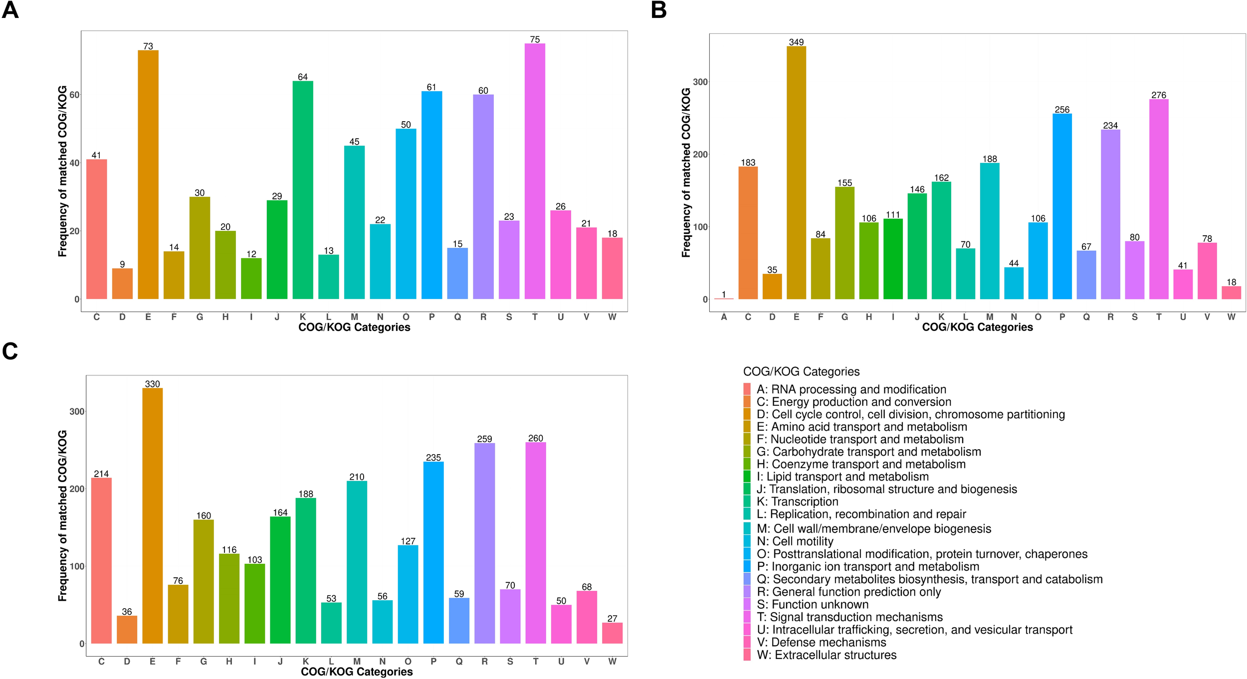 Bar charts labeled A, B, and C show the frequency of matched COG/KOG categories on the vertical axis. Each chart displays bars representing different categories, labeled A to W, with varied colors indicating functions like RNA processing, energy production, and others. Values differ across each chart, with chart A showing highest frequency in category S, B in D, and C in E. A legend at the bottom right explains category functions.