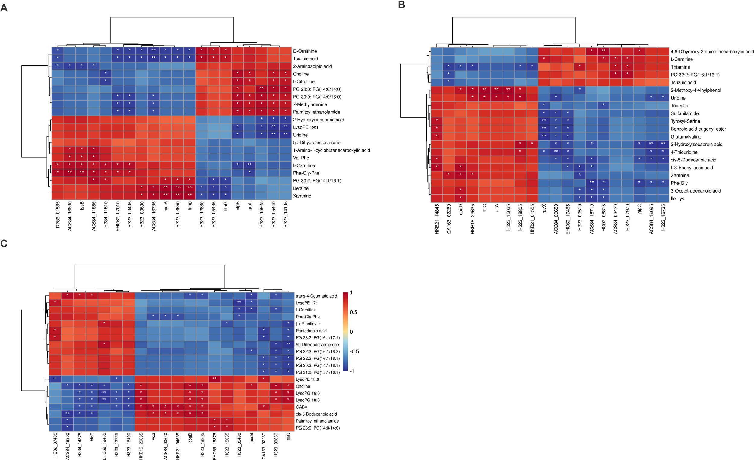 Correlation heatmap of the top 20 DEPs and DEMs. Each map shows a grid of blue to red hues, indicating intensity levels. Red is positively correlated and blue is negatively correlated. Rows represent metabolites like D-Ornithine and L-Carnitine, while columns represent proteins. Each heatmap contains a color legend indicating intensity values from negative to positive.