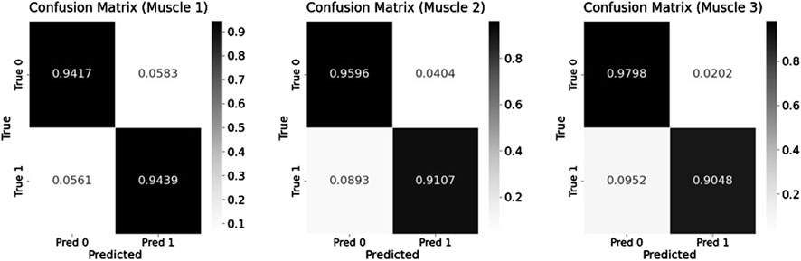 Three confusion matrices for muscles 1, 2, and 3 are displayed. Each matrix shows true versus predicted values. For Muscle 1: True 0, Pred 0 is 0.9417 and True 1, Pred 1 is 0.9439. For Muscle 2: True 0, Pred 0 is 0.9596 and True 1, Pred 1 is 0.9107. For Muscle 3: True 0, Pred 0 is 0.9798 and True 1, Pred 1 is 0.9048. Each matrix includes color gradients representing value intensity.