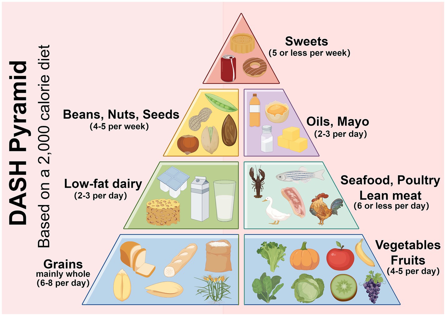 DASH Pyramid illustration based on a 2,000 calorie diet. From top to bottom: Sweets (5 or less per week), Beans, Nuts, Seeds (4-5 per week), Oils, Mayo (2-3 per day), Low-fat dairy (2-3 per day), Seafood, Poultry, Lean meat (6 or less per day), Grains mainly whole (6-8 per day), Vegetables and Fruits (4-5 per day).