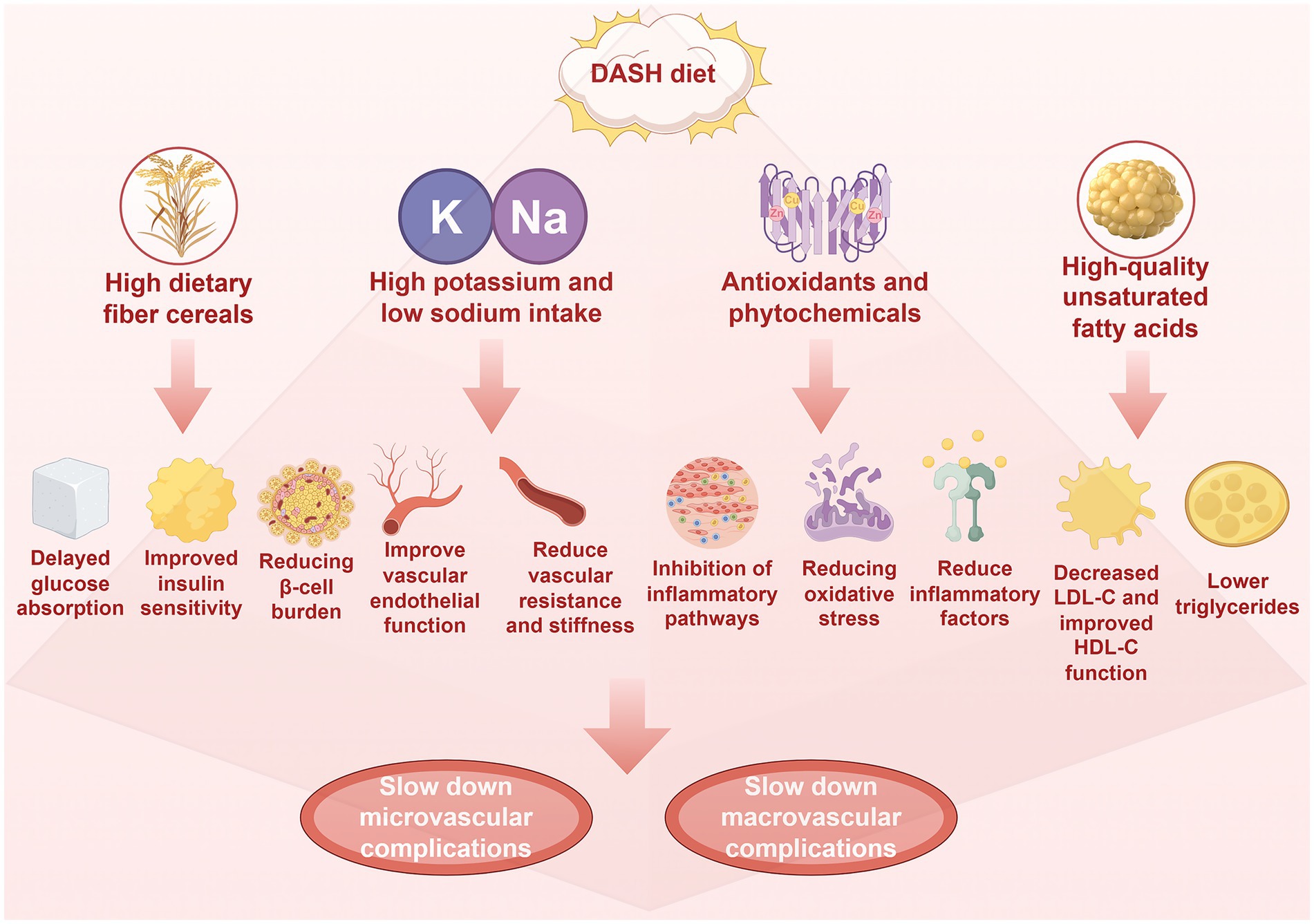 Diagram illustrating the benefits of the DASH diet. Features include high dietary fiber, potassium, and low sodium intake; antioxidants and phytochemicals; and high-quality unsaturated fatty acids. Benefits such as delayed glucose absorption, improved insulin sensitivity, enhanced vascular function, reduced inflammation, and lower LDL cholesterol are linked, ultimately slowing microvascular and macrovascular complications.