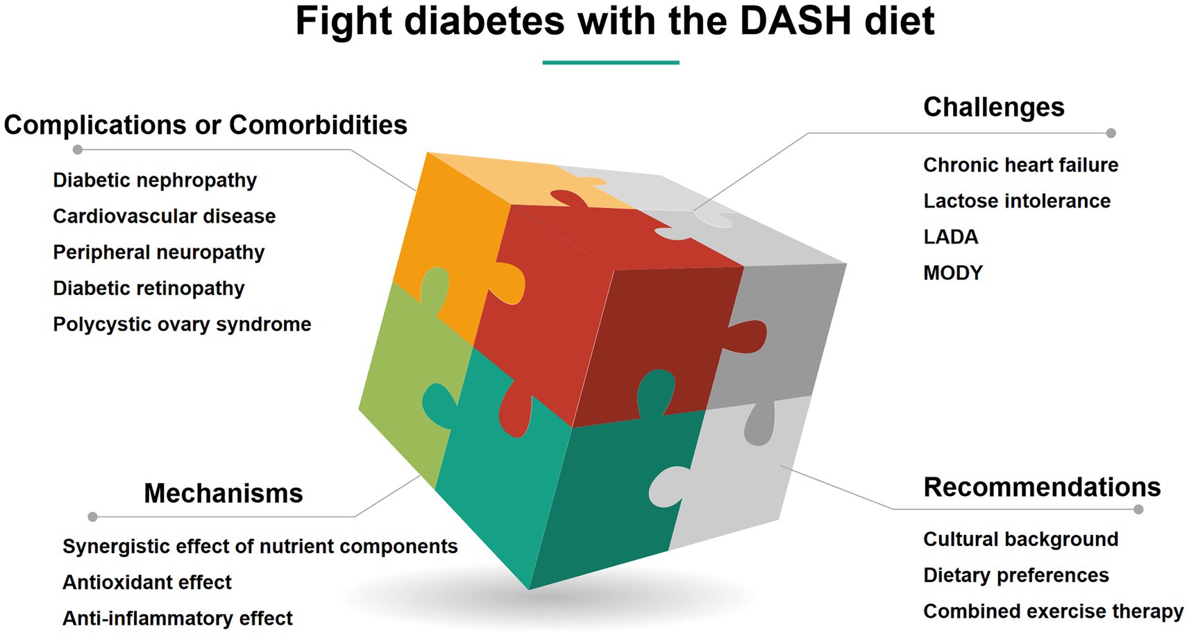 Puzzle cube graphic titled “Fight diabetes with the DASH diet” illustrates various aspects. Complications include diabetic nephropathy and cardiovascular disease. Challenges include chronic heart failure and lactose intolerance. Mechanisms encompass synergistic, antioxidant, and anti-inflammatory effects. Recommendations suggest considering cultural background, dietary preferences, and combined exercise therapy.