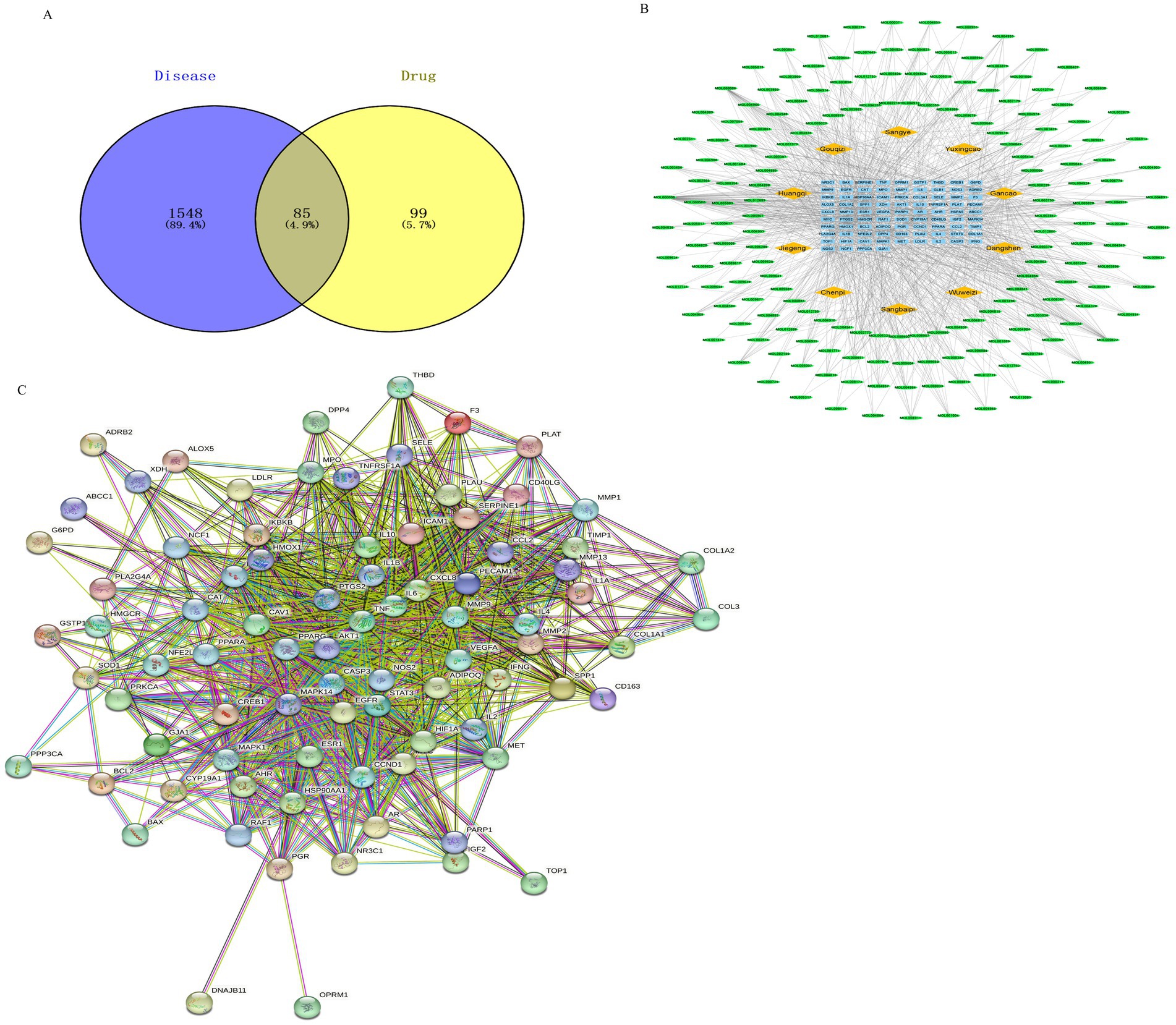 Panel A is a Venn diagram comparing disease-related and drug-related genes. The disease circle contains 1548 genes, the drug circle 99 genes, and their overlap 85 genes. Panel B is a network diagram with a central cluster of light blue nodes representing core elements, surrounded by yellow and green nodes connected by lines, illustrating a complex network structure. Panel C is a protein-protein interaction network showing interconnected nodes, each labeled with protein names, forming an intricate web of interactions.