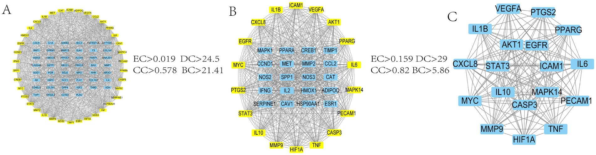 Three network diagrams, labeled A, B, and C, display interconnected nodes representing gene interactions. Nodes are highlighted in blue and yellow. Each diagram includes metrics: A shows EC>0.019, DC>24.5, CC>0.578, BC>21.41; B shows EC>0.159, DC>29.7, CC>0.82, BC>5.86; C with no specified metrics. Connections between nodes indicate interactions, with more interconnected nodes positioned centrally.
