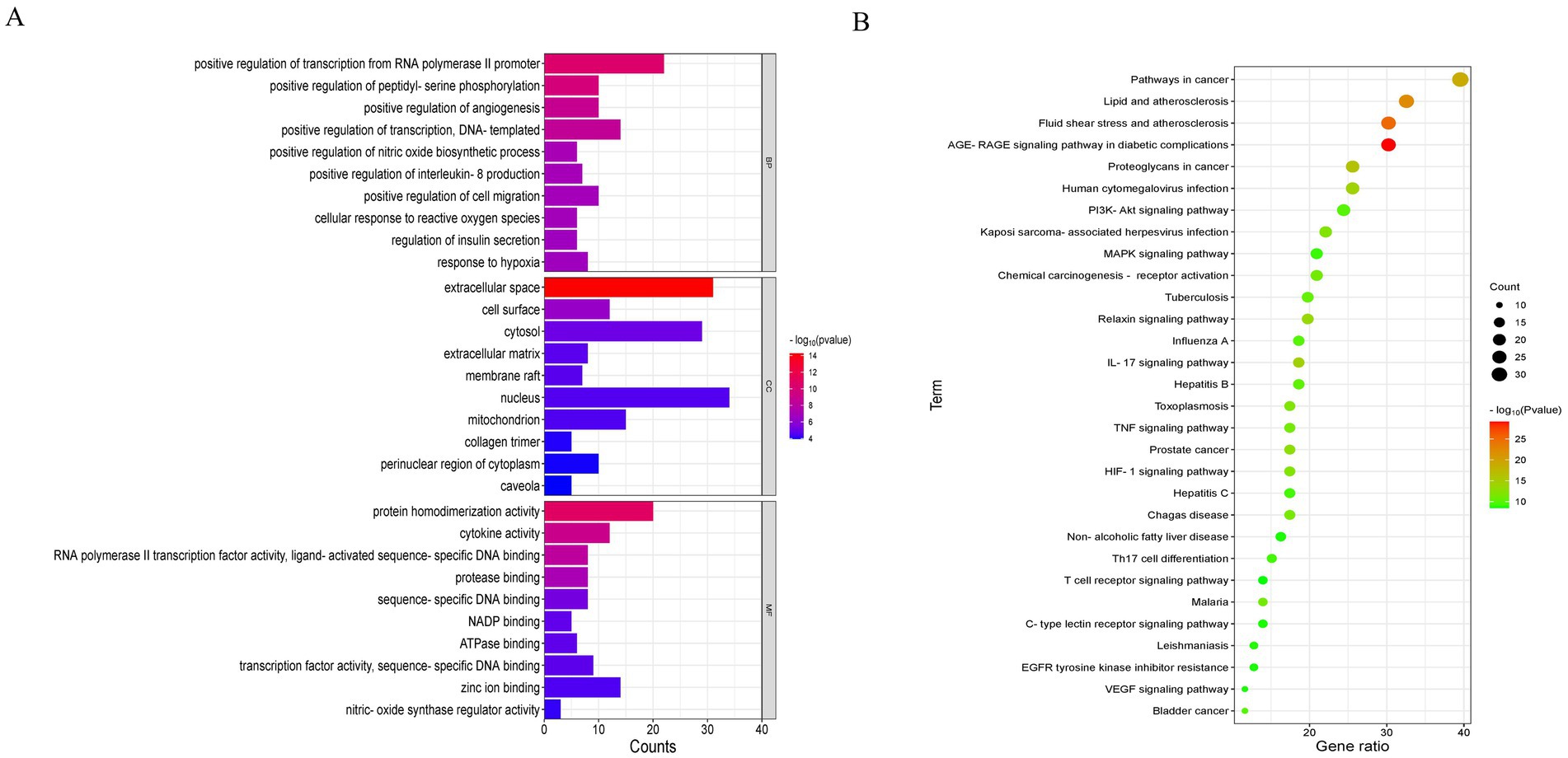 Bar chart and dot plot representing enriched biological terms and pathways. Panel A shows Gene Ontology terms with variables such as transcription regulation and cellular response, color-coded by significance (-log10 p-value). Panel B presents pathways like cancer and signaling pathways, with dot size indicating count and color showing significance.