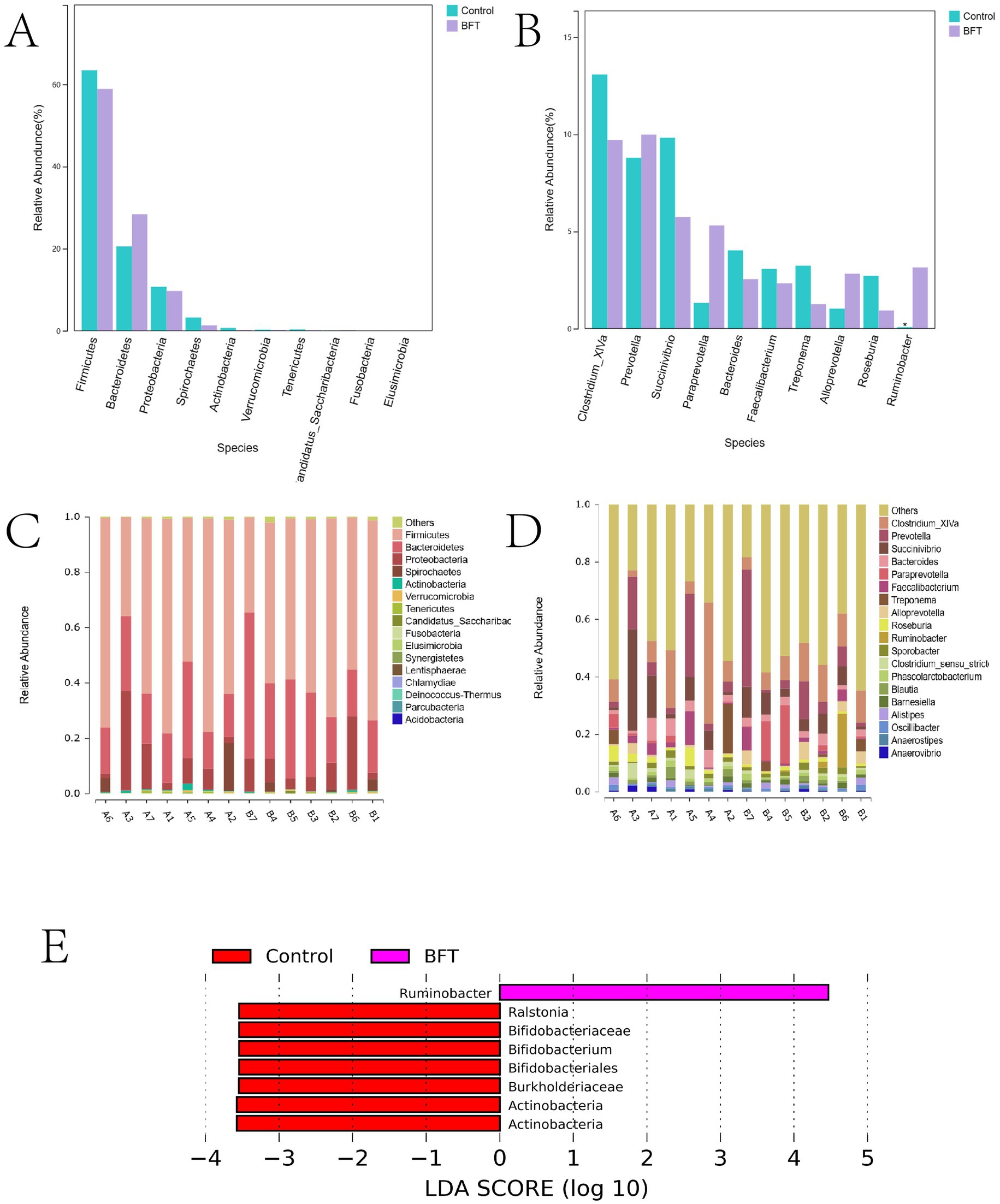 Five charts depict microbial data comparisons between control and BFT groups. Chart A and B show bar graphs of relative abundances of different species. Charts C and D present stacked bar charts for abundance across various categories. Chart E displays a bar graph of LDA scores, highlighting significant differences in species between the two groups.