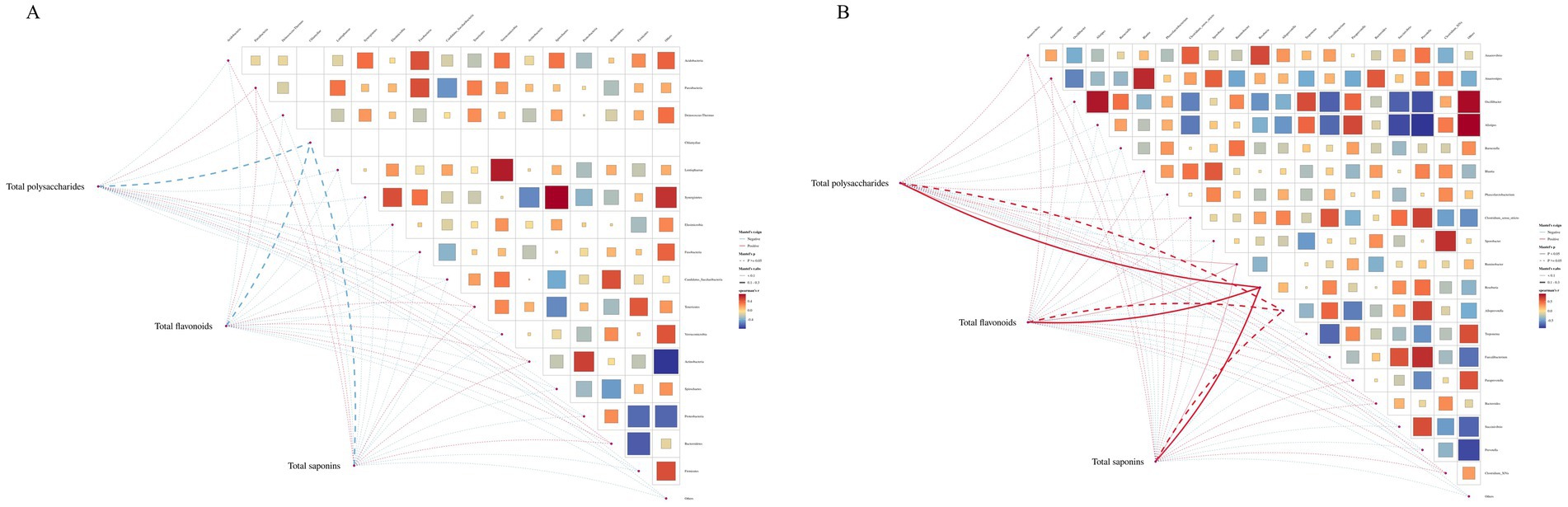 Two panels, A and B, show heat maps representing correlations among chemical compounds with linkage lines. Squares vary in color intensity, indicating different correlation coefficients. Panel A features blue dashed lines, while panel B has red dashed lines connecting variables such as total polysaccharides, flavonoids, and saponins. A color legend denotes correlation strength from blue (negative) to red (positive).