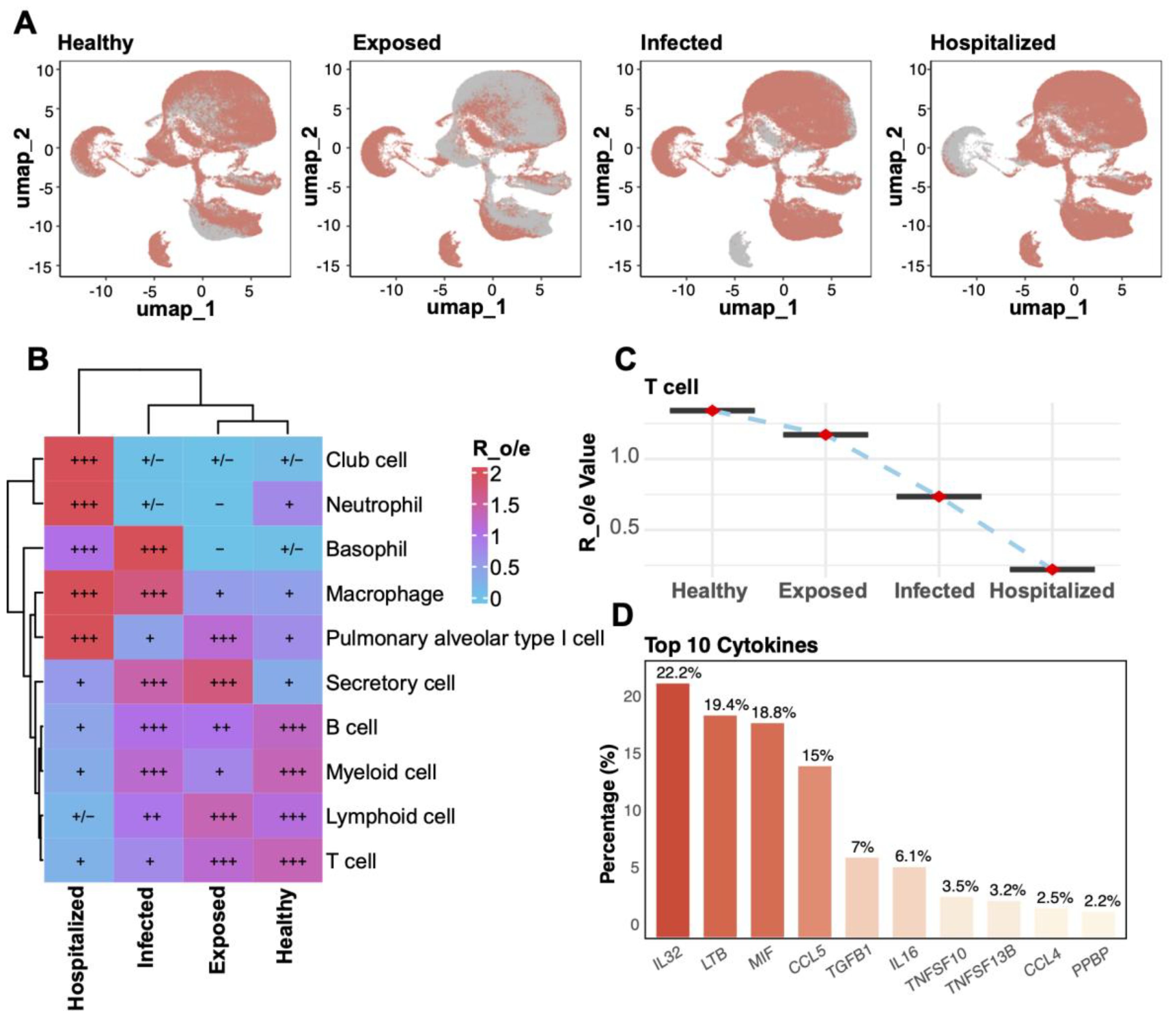 Panel A displays UMAP plots depicting cellular distributions across healthy, exposed, infected, and hospitalized groups. Panel B presents a heatmap showing the relative expression (R_o/e) of various cell types, with a scale from blue (low) to red (high). Panel C illustrates a line graph of T cell R_o/e values decreasing from healthy to hospitalized. Panel D is a bar graph listing the top ten cytokines by percentage, with IL32, LTB, and MIF as the highest.