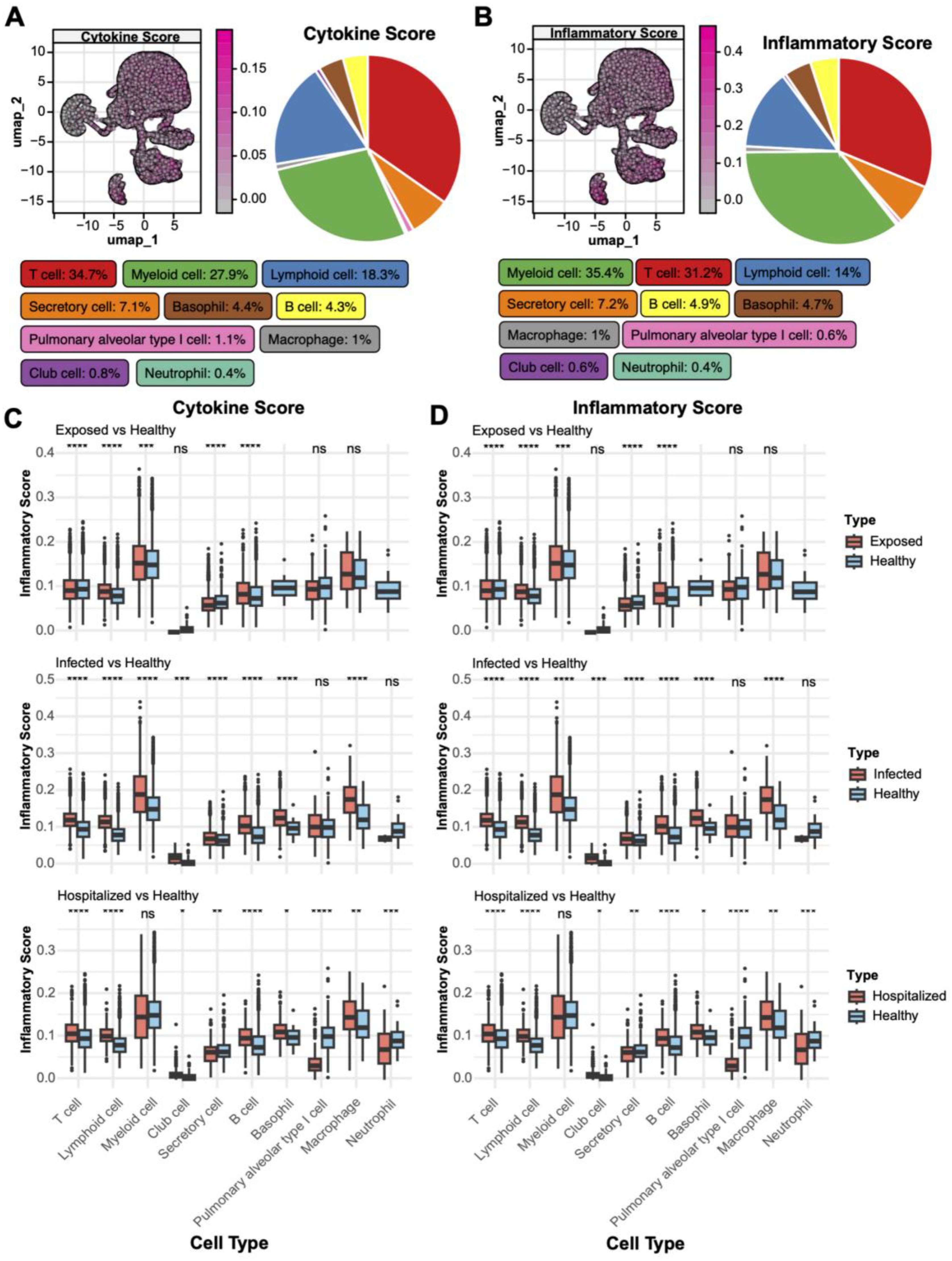 Two graphs compare cytokine and inflammatory scores. Graph A shows a UMAP plot and pie chart for cytokine scores across various cell types. Graph B shows similar data for inflammatory scores. Graphs C and D are box plots comparing exposed, infected, and hospitalized groups to healthy controls for each score, with statistical significance indicated by asterisks.