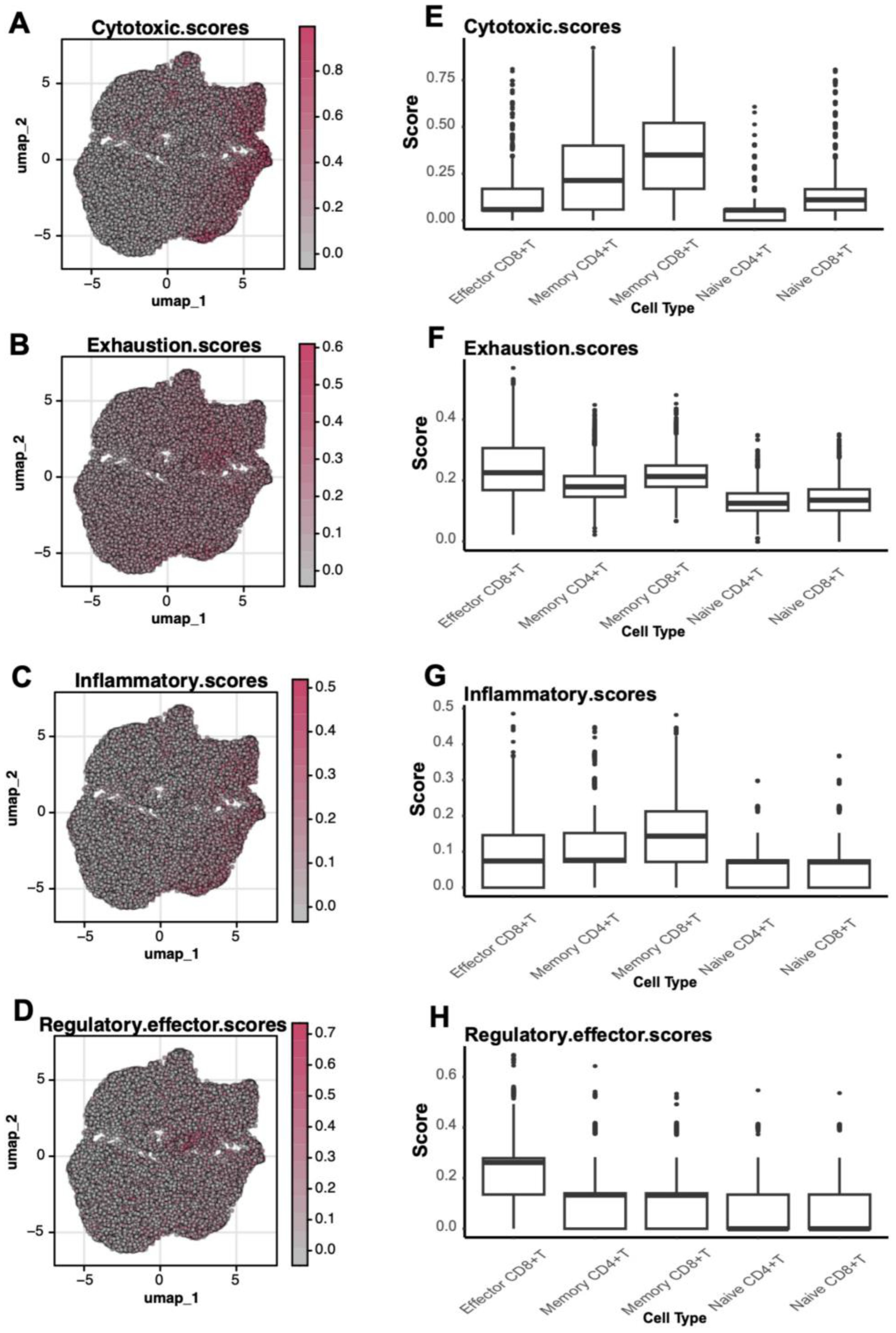 Graphs comparing scores of different cell functions. Panels A, B, C, and D show UMAP plots with varying intensities of cytotoxic, exhaustion, inflammatory, and regulatory effector scores. Panels E, F, G, and H display box plots correlating these scores across effector and memory CD8+ T, memory and naive CD4+ T, and naive CD8+ T cell types. Color bars indicate score scales.