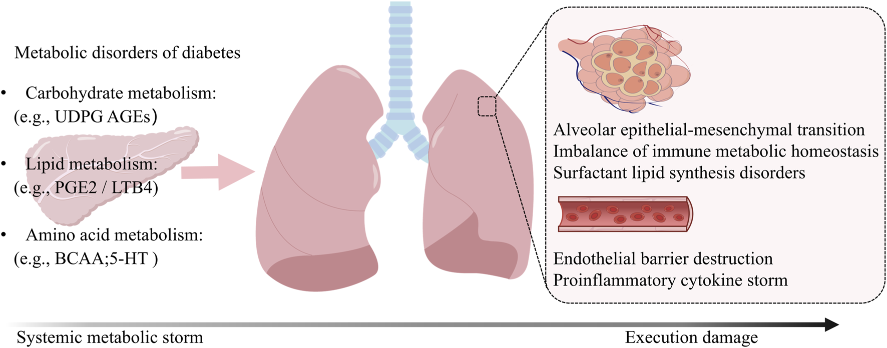 Illustration showing the metabolic disorders of diabetes affecting carbohydrate, lipid, and amino acid metabolism, represented by a pancreas. An arrow points to the lungs, highlighting disorders like epithelial-mesenchymal transition, immune imbalance, surfactant lipid synthesis issues, endothelial barrier destruction, and cytokine storms. A line labeled "Systemic metabolic storm" leads to "Execution damage."