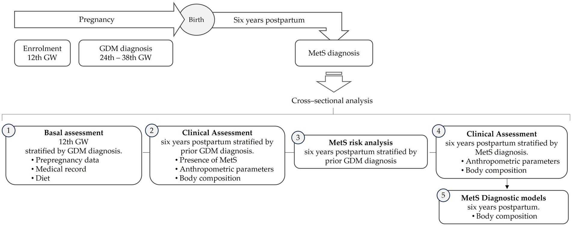 Flowchart illustrating a study timeline and assessments related to pregnancy. The process begins with enrollment at 12th gestational week (GW), followed by GDM diagnosis between 24th and 38th GW, and continues six years postpartum with MetS diagnosis. Assessments include basal assessment at 12th GW for prepregnancy data, clinical assessment six years postpartum for presence of MetS, risk analysis stratified by prior GDM, and diagnostic models focusing on body composition. Cross-sectional analysis is noted.