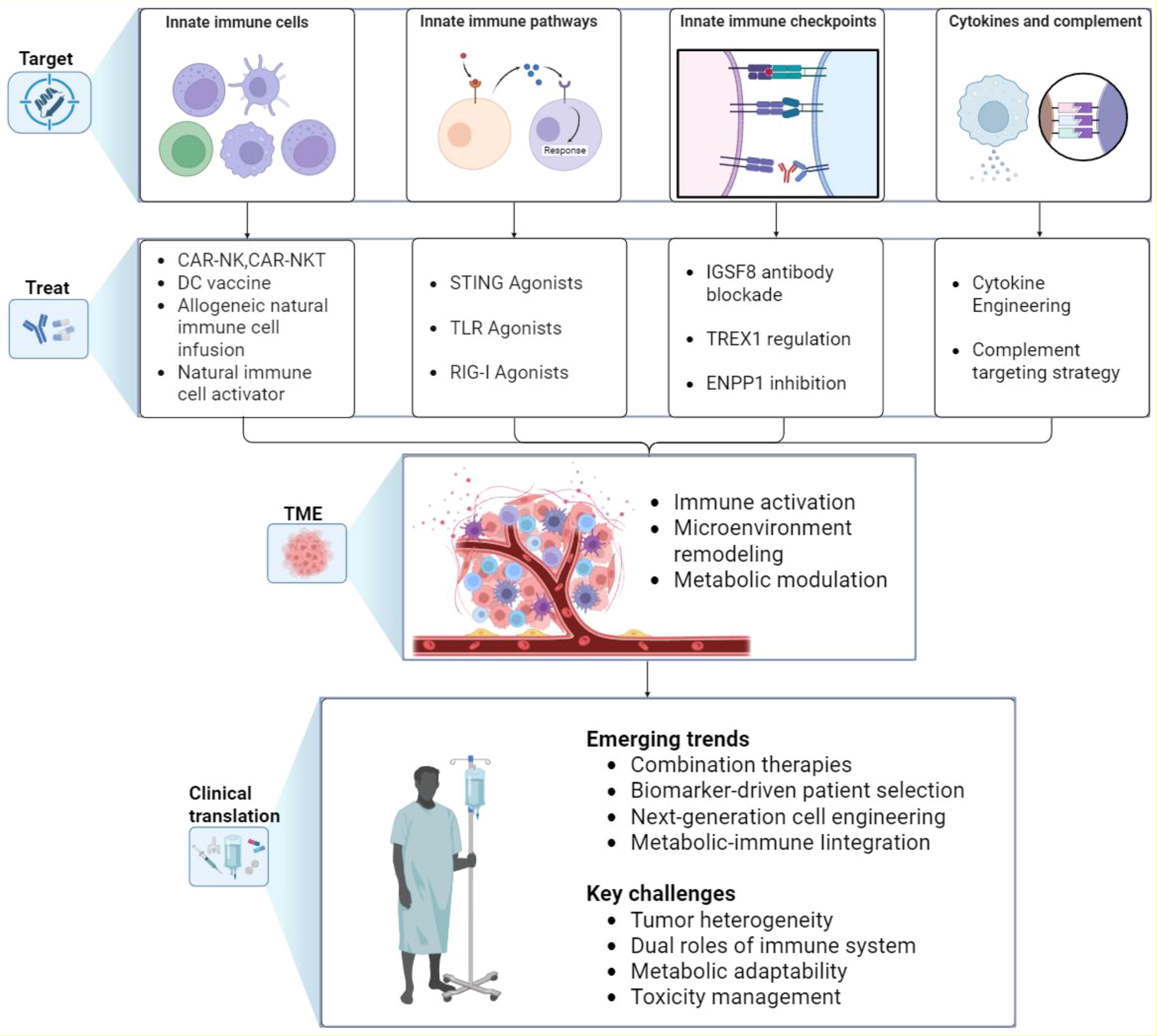 Diagram showing strategies for targeting immune responses in cancer treatment. At the top are categories: innate immune cells, pathways, checkpoints, cytokines, and complement. Treatments include CAR-NK, vaccines, and agonists. Middle section highlights tumor microenvironment strategies like immune activation. Bottom discusses clinical translation, emerging trends, and key challenges such as toxicity management and tumor heterogeneity.