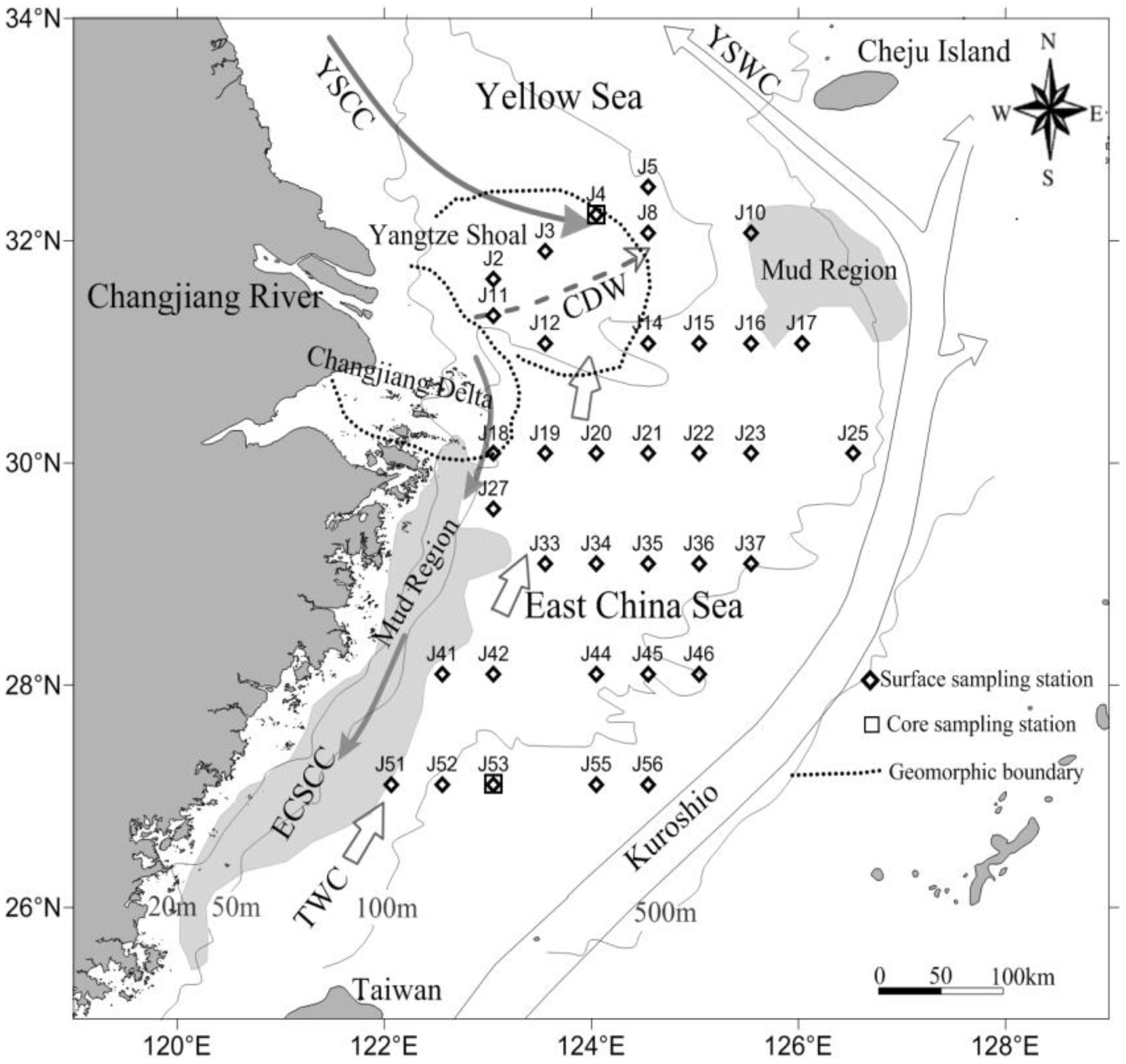 Map depicting the Yellow Sea and East China Sea regions, highlighting Changjiang River, Yangtze Shoal, and Cheju Island. It includes surface and core sampling stations, key currents like the Kuroshio and TWC, and mud regions. Major geographic coordinates, such as the Changjiang Delta and Taiwan, are labeled. Arrows indicate current directions, and depth contours are marked at twenty, fifty, one hundred, and five hundred meters.