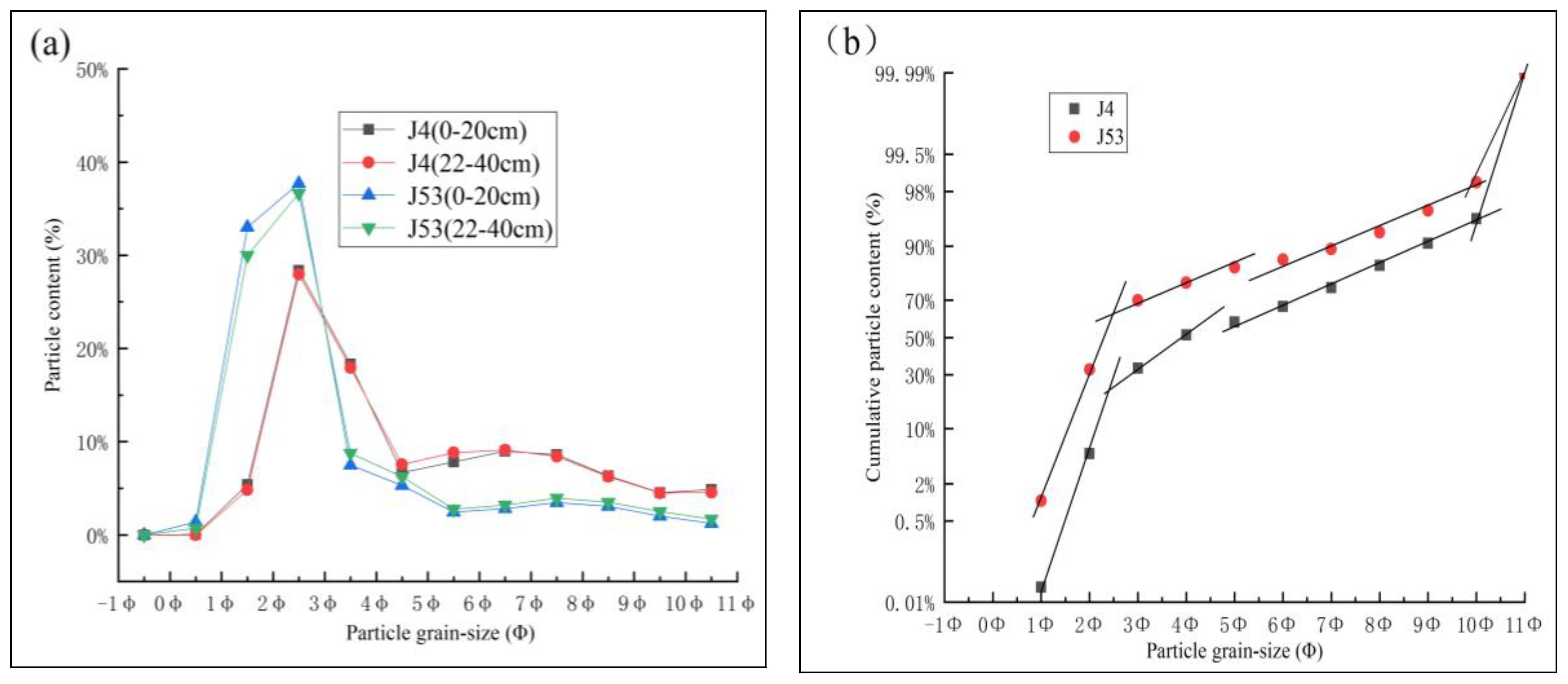 Two graphs are shown. Graph (a) displays particle content percentage versus particle grain size in phi units for four samples: J4 (0-20cm), J4 (22-40cm), J53 (0-20cm), and J53 (22-40cm). Particle content peaks near 1-2 phi. Graph (b) presents cumulative particle content percentage plotted against grain size for samples J4 and J53, with a notable increase from 1 to 4 phi, reaching about 99 percent by 11 phi.