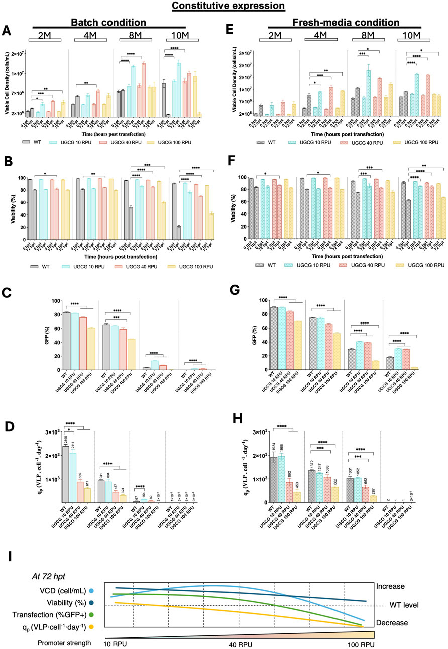 Bar charts compare various parameters of HEK293 cell transfection across different promoter strengths (10, 40, 100 RPU) under batch and fresh-media conditions. Metrics include viable cell density, viability, GFP expression, and VLP production at different cell densities (2M, 4M, 8M, 10M). Significant differences between groups are marked. A line graph shows trends at 72 hours post-transfection for promoter strengths, illustrating changes in cell viability and performance metric.