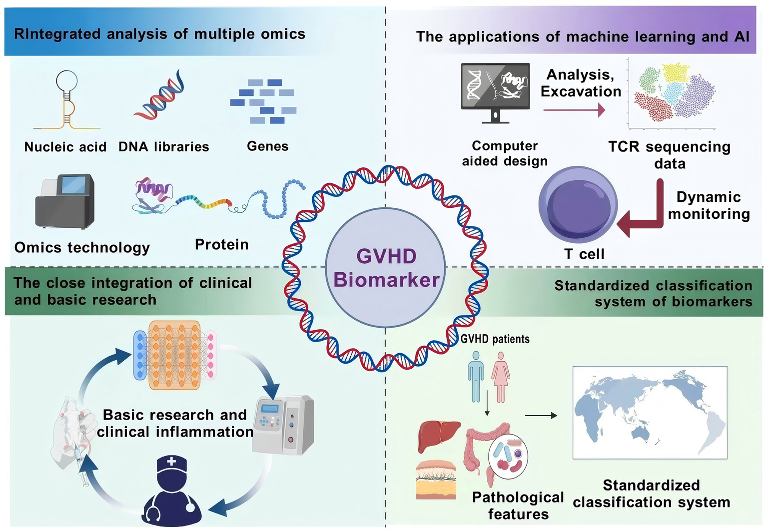Diagram illustrating the components of GVHD biomarker analysis. Top left highlights multiple omics: nucleic acid, DNA libraries, genes, and proteins. Top right focuses on AI applications, including computer-aided design, TCR sequencing data, and dynamic monitoring of T cells. Bottom left indicates integration of clinical and basic research with icons of basic and clinical science. Bottom right discusses standardized classification, showing GVHD patients and various pathological features. A DNA helix encircles the term "GVHD Biomarker" at the center.