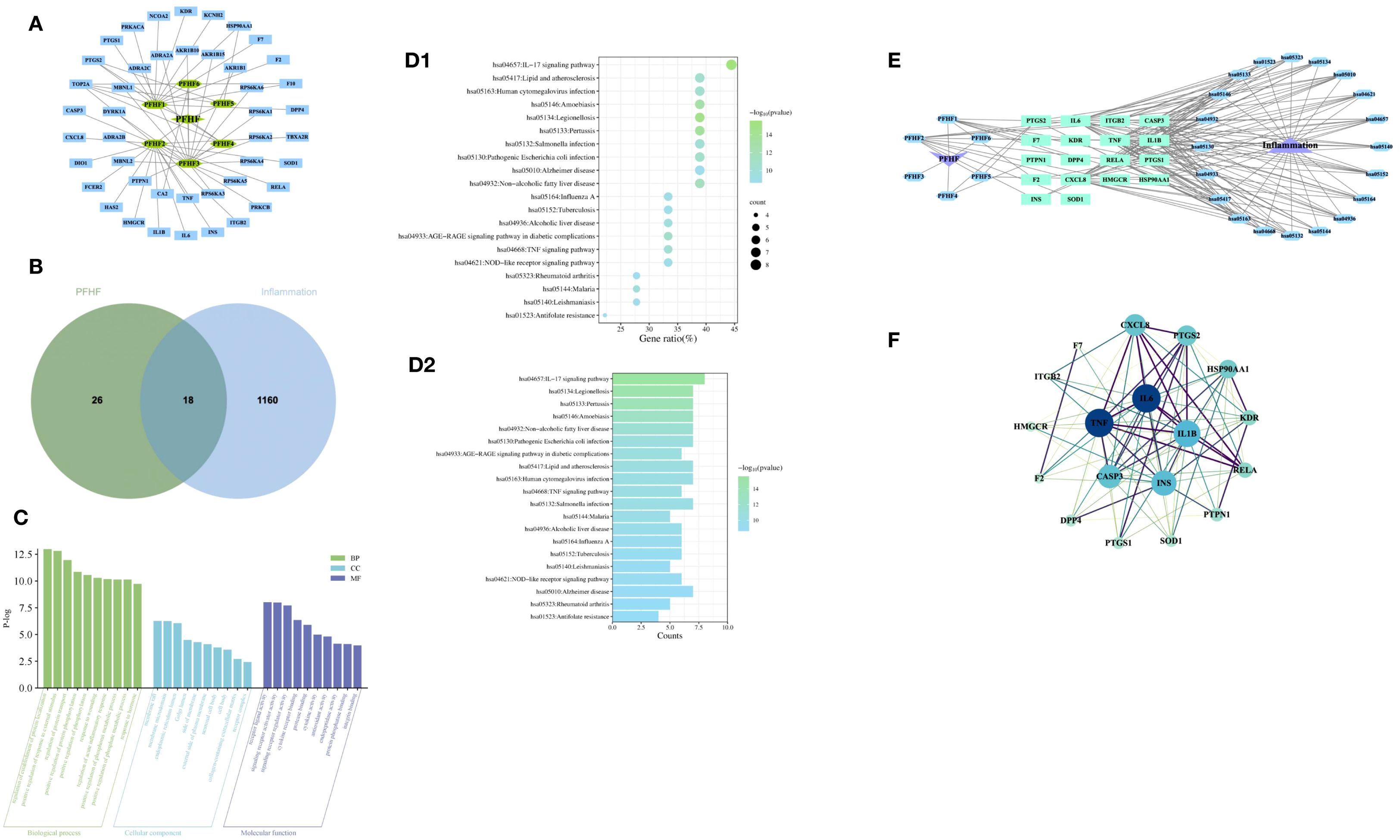 A composite image illustrating various scientific data visualizations: Panel A shows a gene interaction network with highlighted central nodes. Panel B features a Venn diagram comparing two groups, PFHF and Inflammation, with overlapping elements. Panel C presents a bar graph categorizing biological processes, cellular components, and molecular functions. Panels D1 and D2 include a dot plot and a bar graph showing gene enrichment pathways with gene ratios and counts. Panel E illustrates a network connecting specified genes to inflammation. Panel F displays another gene interaction network with interconnected nodes.