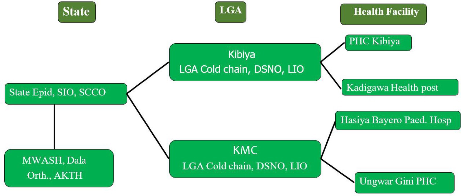 Flowchart showing organizational hierarchy for health facilities. At the state level: