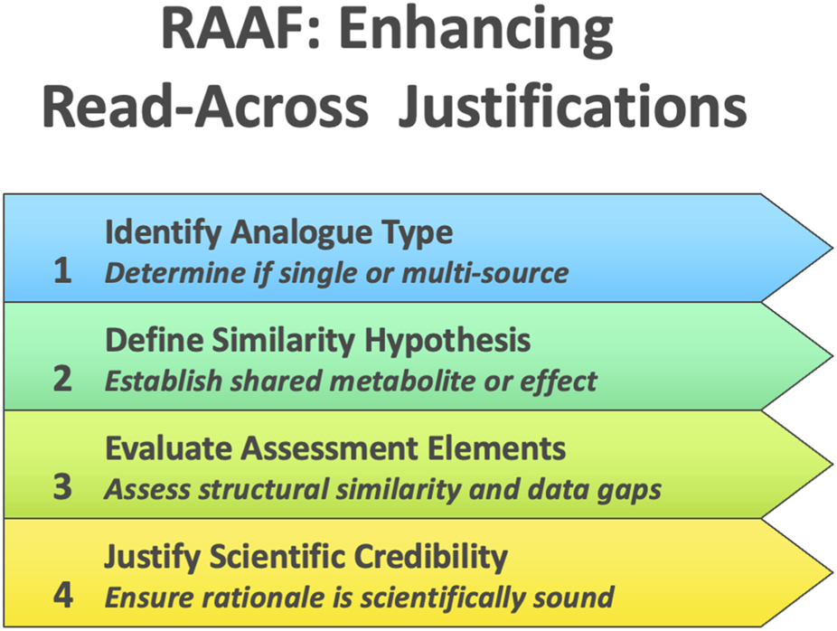 Flowchart titled "RAAF: Enhancing Read-Across Justifications" with four steps in different colored arrows: 1. Identify Analogue Type (blue) - Determine if single or multi-source. 2. Define Similarity Hypothesis (green) - Establish shared metabolite or effect. 3. Evaluate Assessment Elements (yellow) - Assess structural similarity and data gaps. 4. Justify Scientific Credibility (orange) - Ensure rationale is scientifically sound.