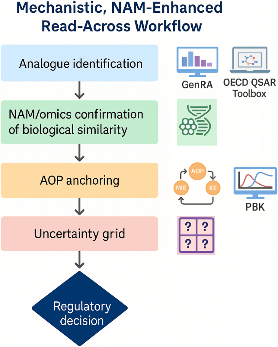 Flowchart titled "Mechanistic, NAM-Enhanced Read-Across Workflow." Steps include: Analogue identification; NAM/omics confirmation of biological similarity; AOP anchoring; Uncertainty grid; leading to Regulatory decision. Icons include graphs, molecular structures, AOP, and PBK diagrams.