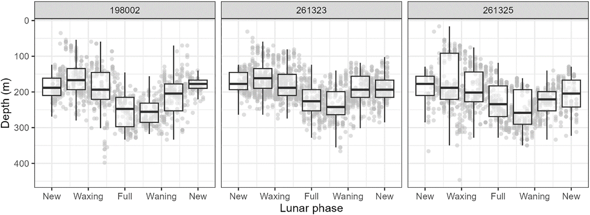Three boxplot panels compare depth in meters across lunar phases: New, Waxing, Full, Waning, and New, labeled 198002, 261323, and 261325. Depth varies, with outliers scattered.