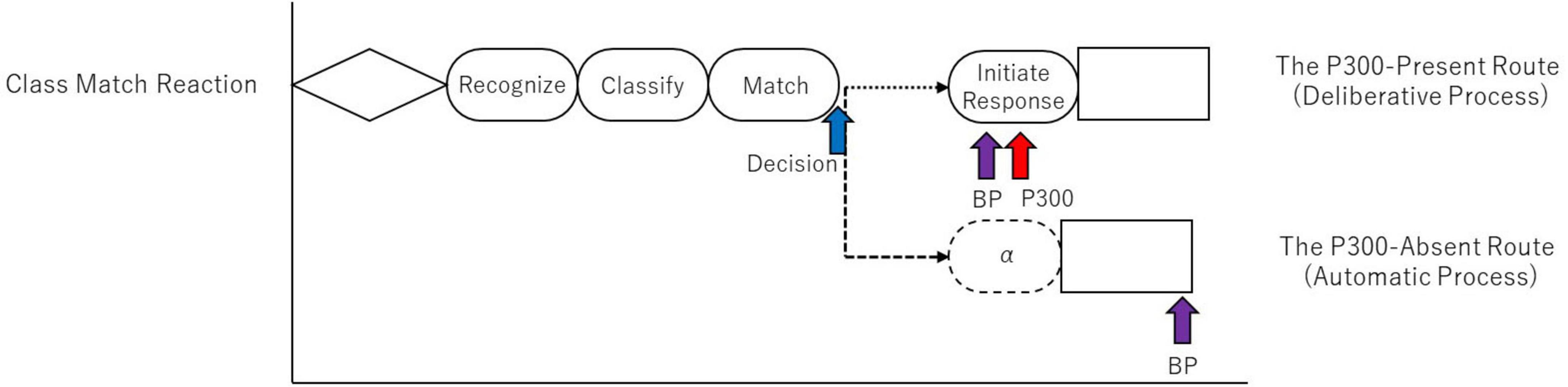 Flowchart titled “Class Match Reaction” showing a process sequence: Recognize, Classify, Match, with decision leading to “Initiate Response.” Two routes diverge: “The P300-Present Route” (Deliberative Process) and “The P300-Absent Route” (Automatic Process). Labels include “BP,” “P300,” and “α.”