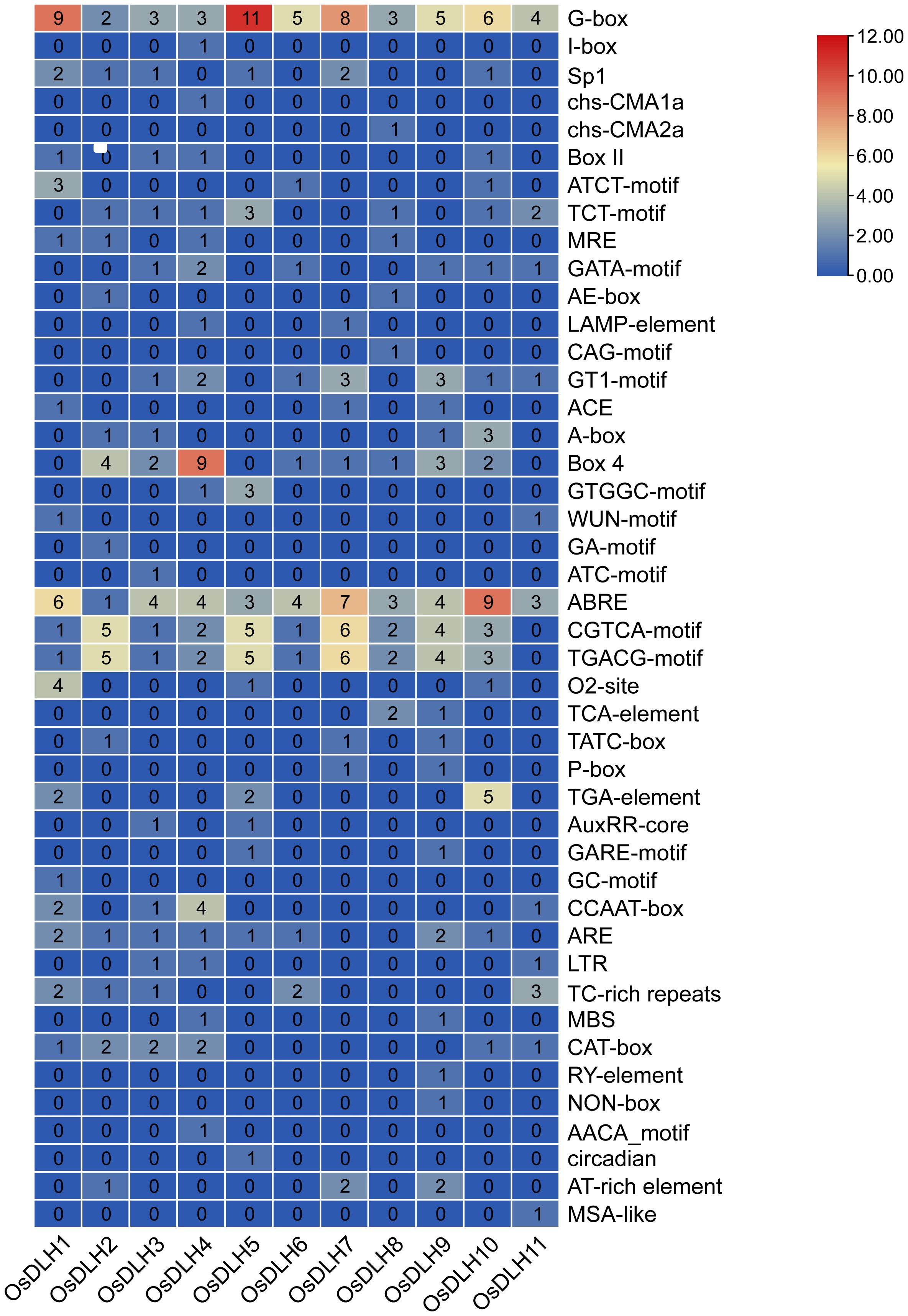 Heatmap showing transcription factor binding site counts across different genes (OsDLH1 to OsDLH11). Intensity ranges from red (high) to blue (low), with values detailed for each binding site such as G-box, ABRE, and others.