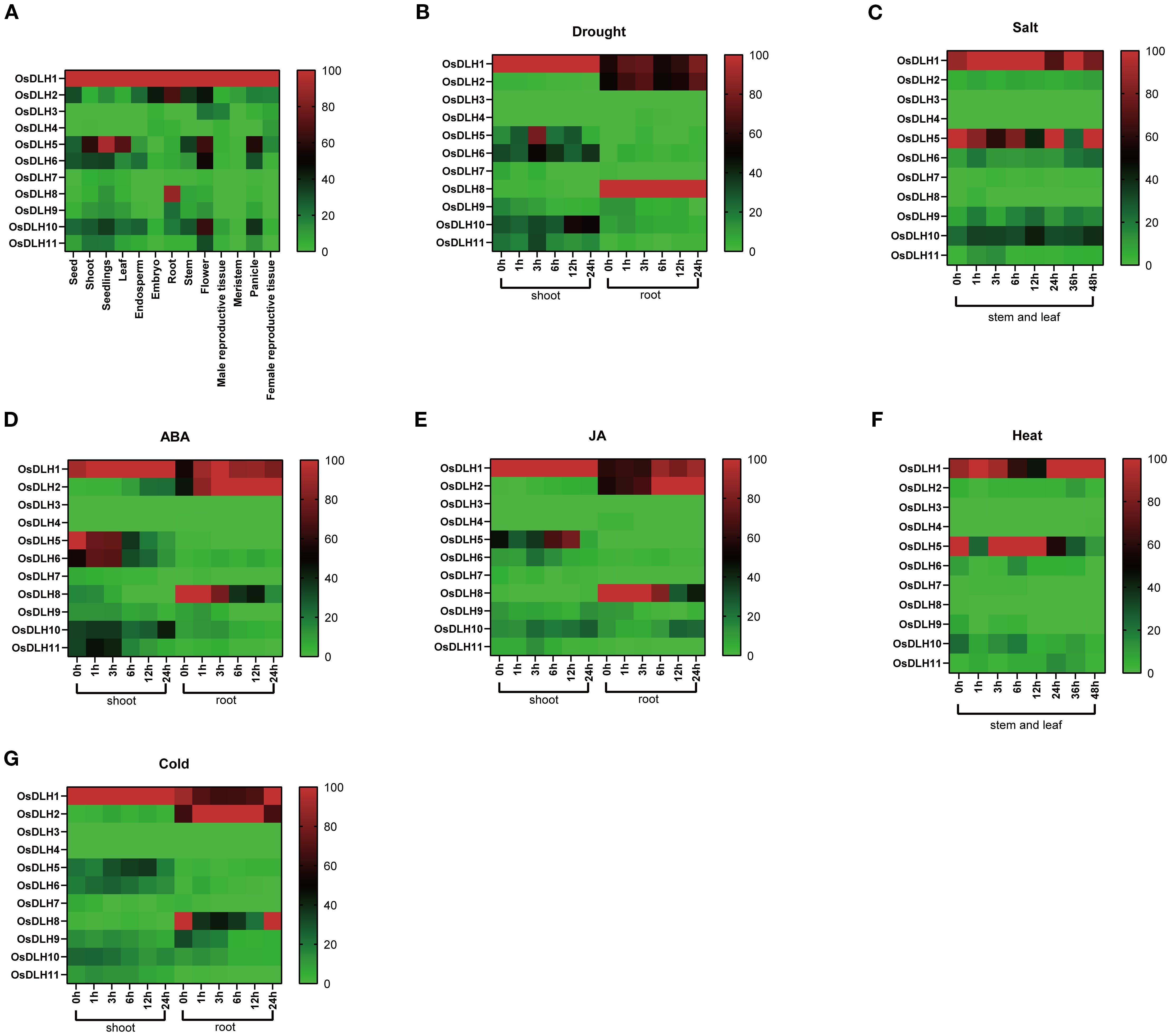 Seven heat maps labeled A to G display expression levels of genes OsDLH1 to OsDLH11 under various conditions: normal growth stages, drought, salt, ABA, JA, heat, and cold. Expression intensity ranges from green (low) to red (high), with measurements in different plant parts and time intervals for each condition.