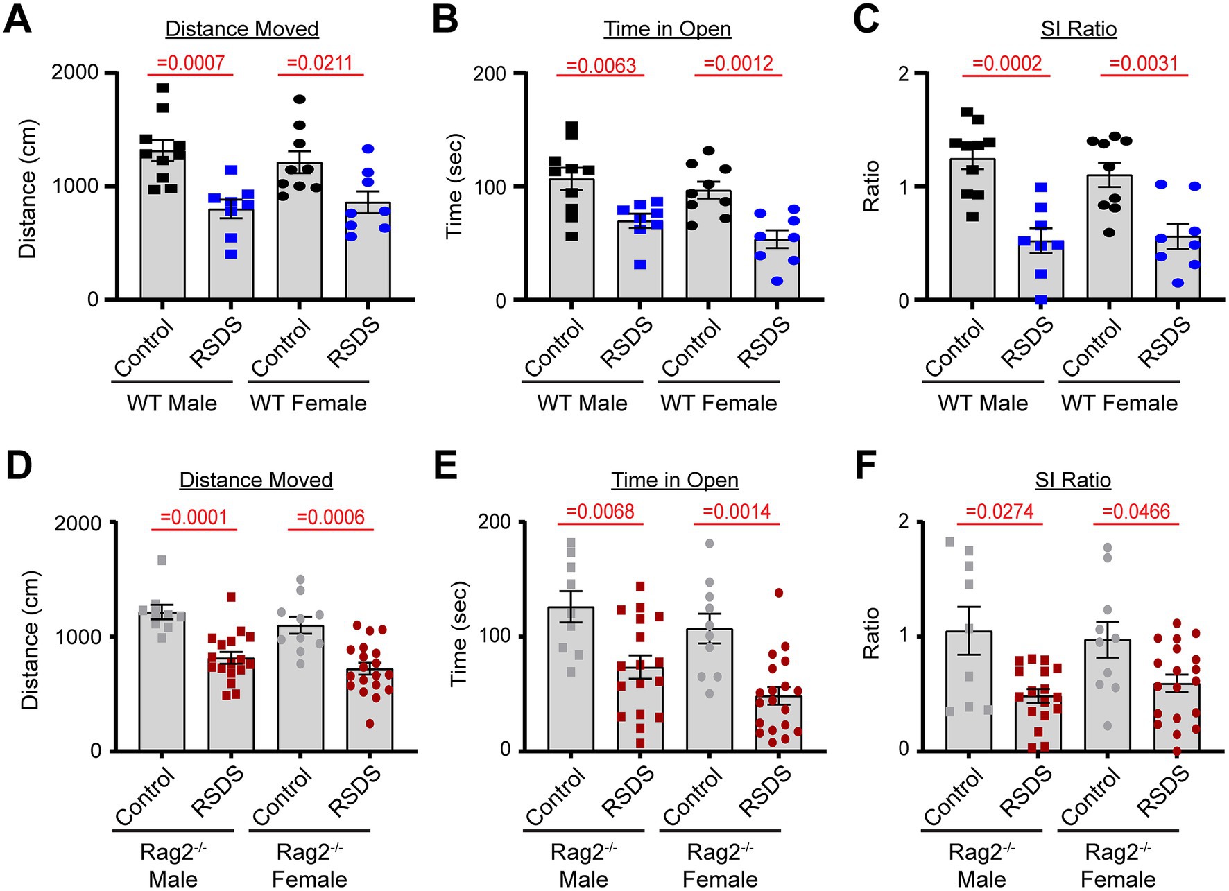 Bar charts compare measurements between Control and RSDS groups for WT and Rag2-/- mice, separated by gender. Panels A and D display distance moved in centimeters, B and E show time in open in seconds, and C and F present SI ratio. Significant p-values are indicated above each comparison.